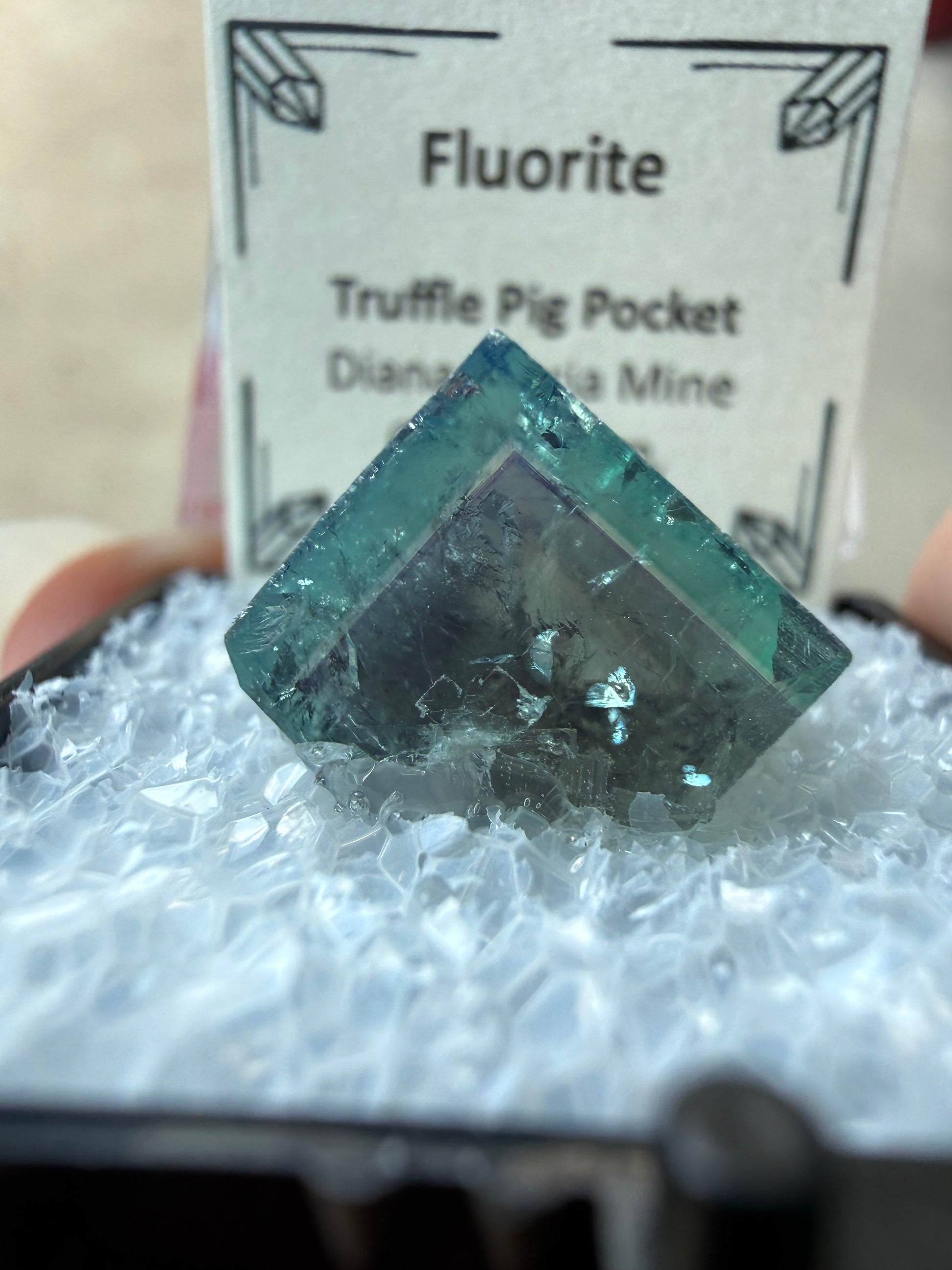 Auction Win: Truffle Pig Pocket Fluorite