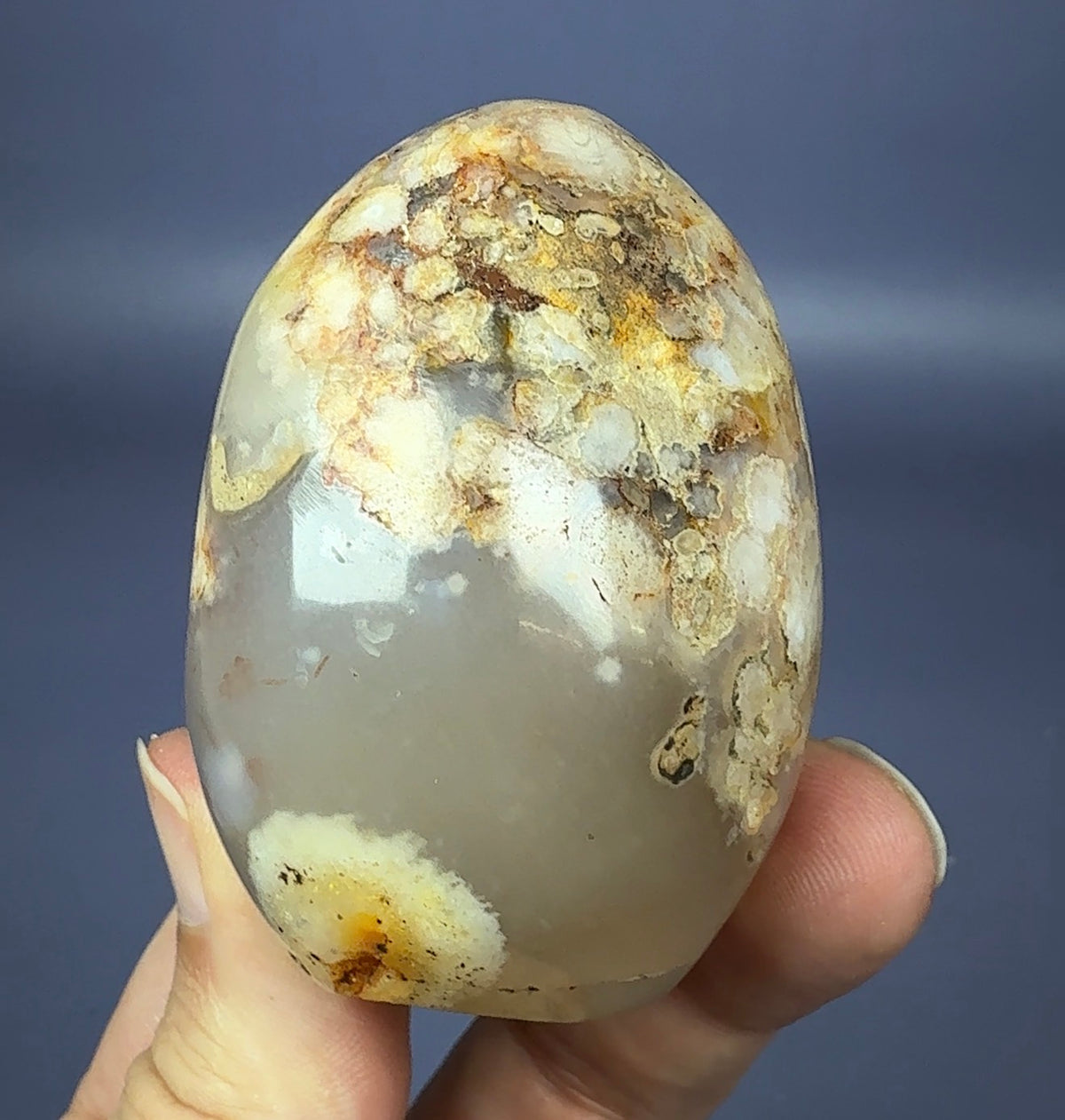 Auction Win: ‘Flower’ Agate (polished)
