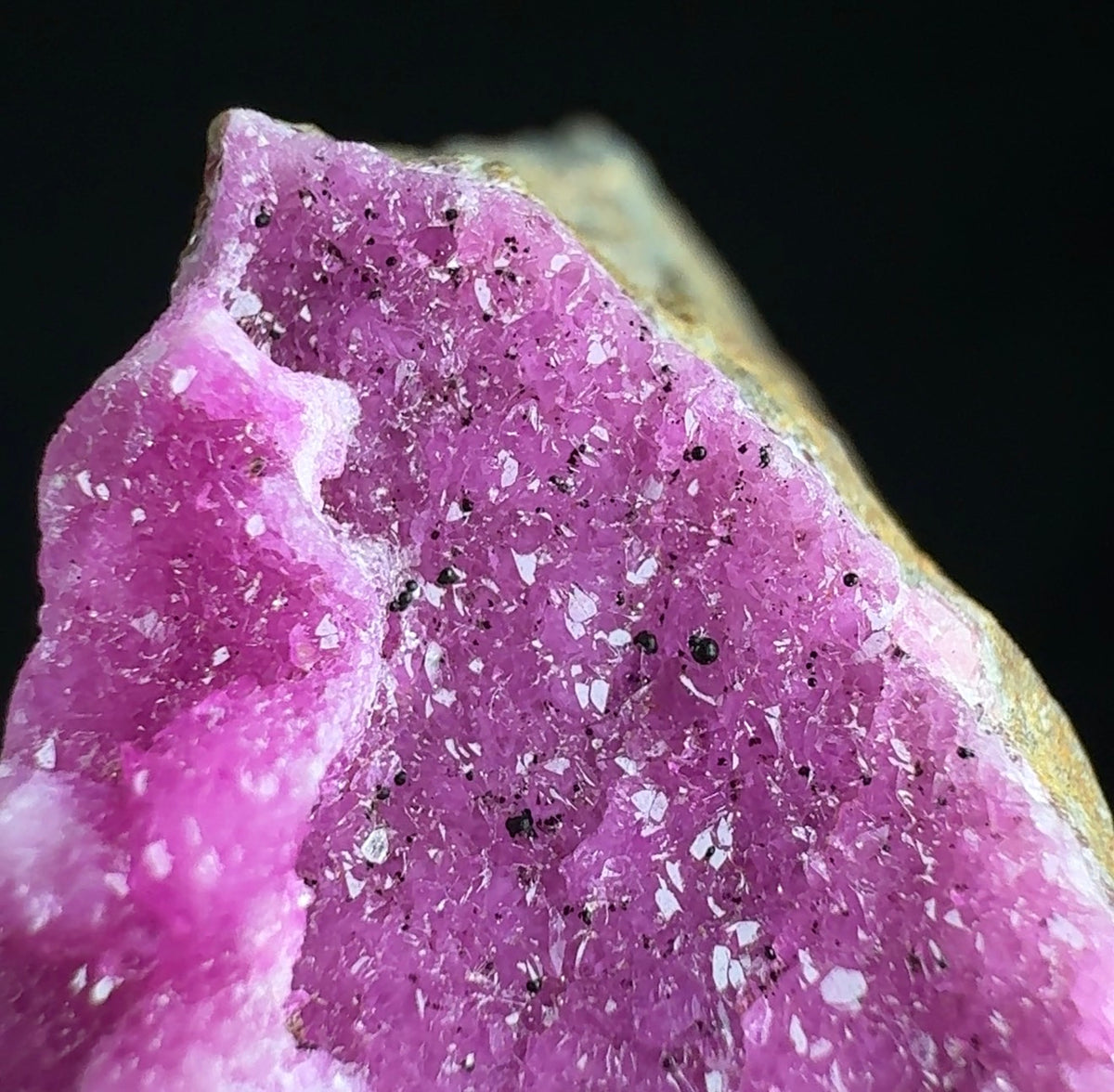 Auction Win: Cobalt-bearing “Cobalto” Calcite