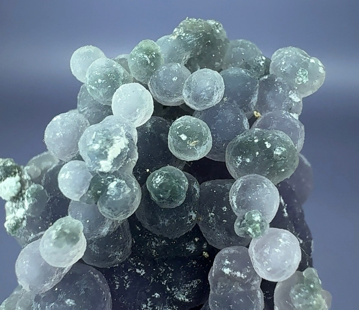Auction Win: Quartz var. ‘Grape Agate’ (good luster and color)