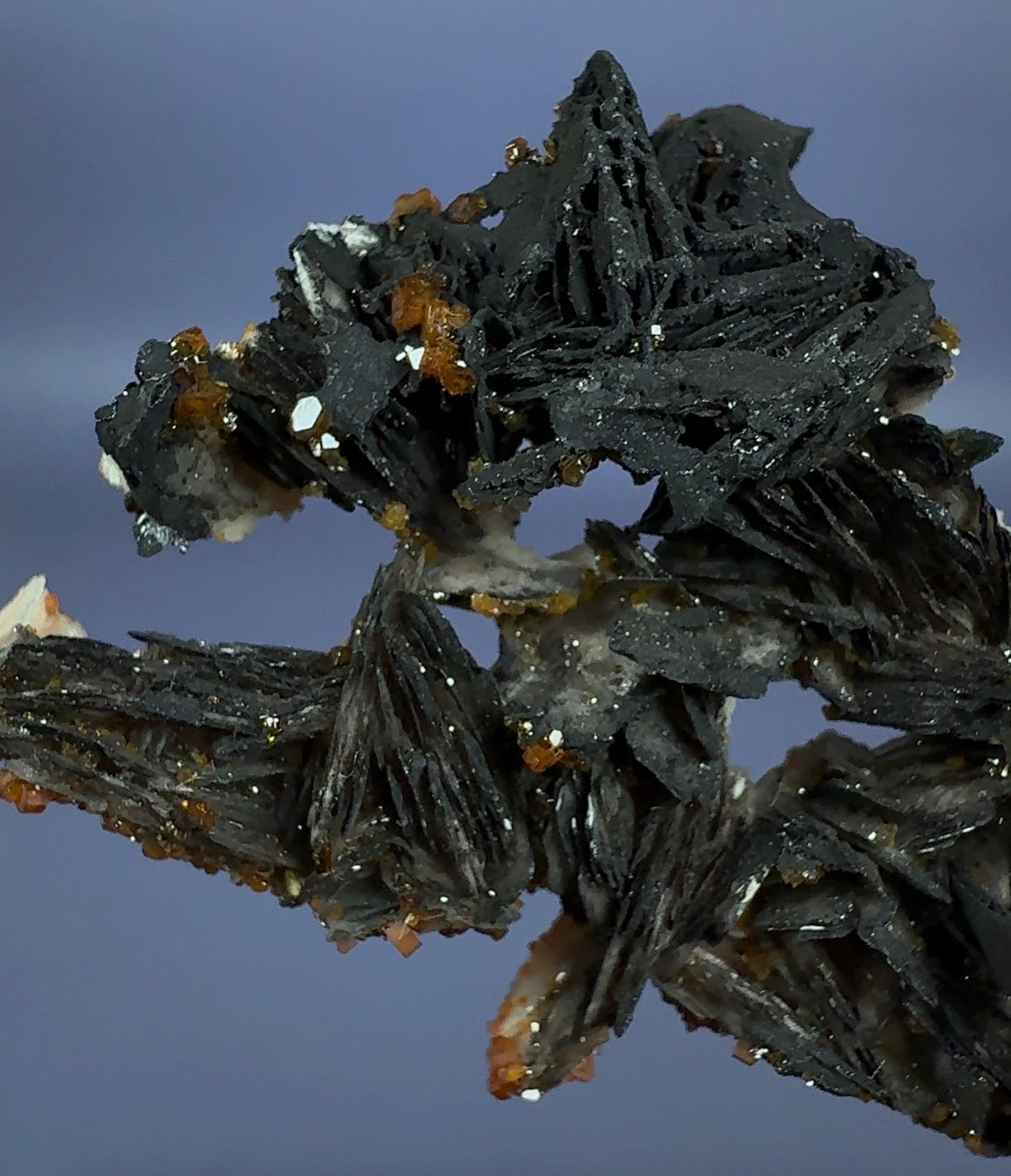 Auction Win: ‘Black Rose’ Vanadinite on Goethite on Baryte