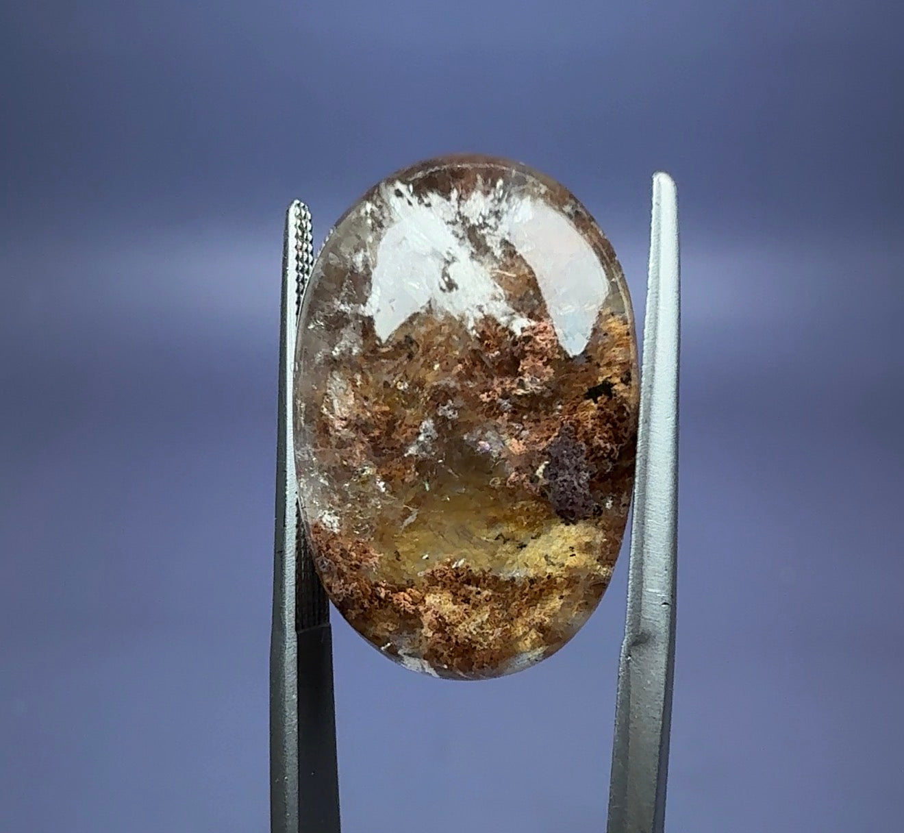 Auction Win: ‘Lodolite’ Quartz with Chlorite and Rutile inclusions (polished)