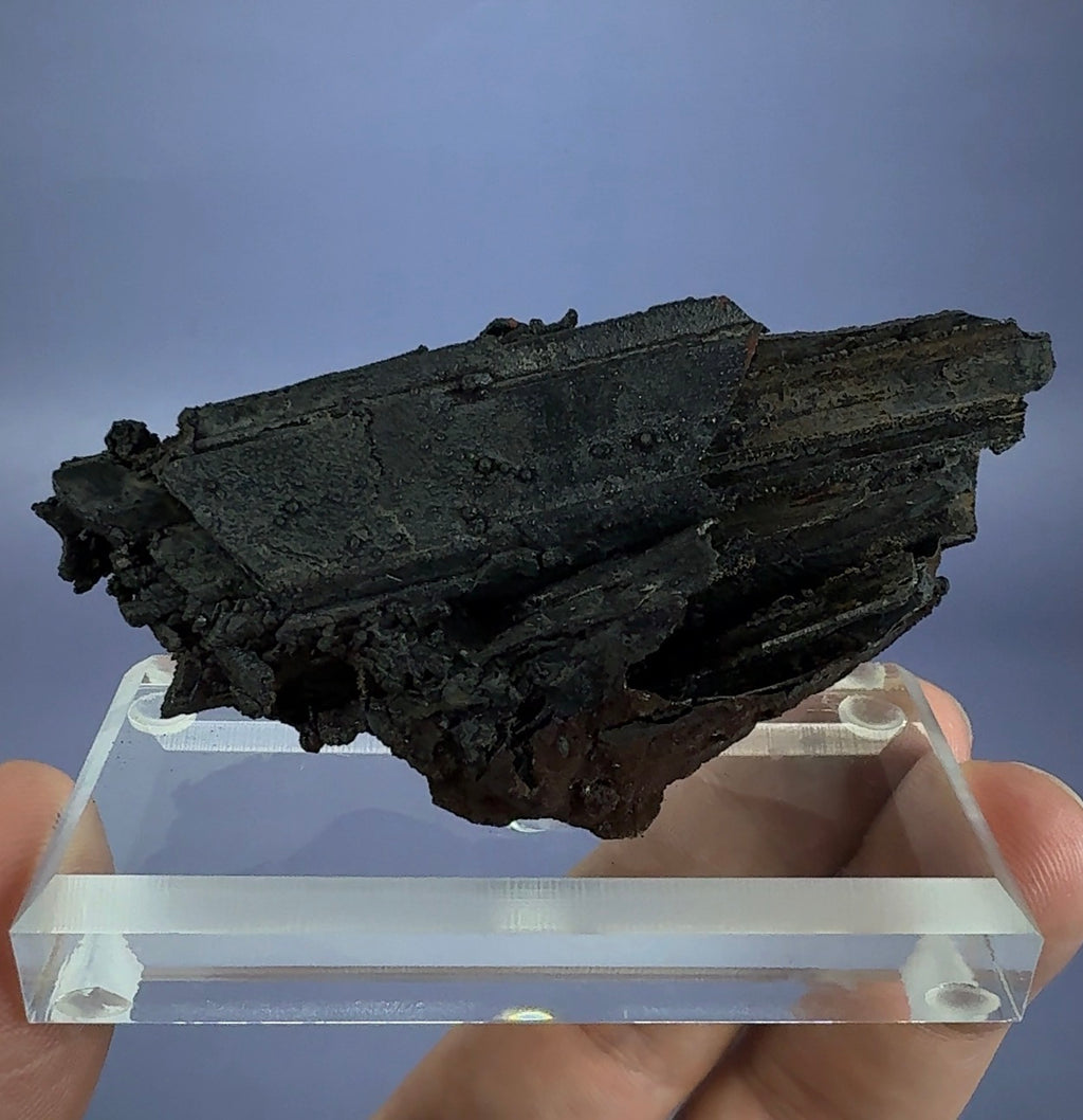 Goethite cast after Selenite (epimorph)