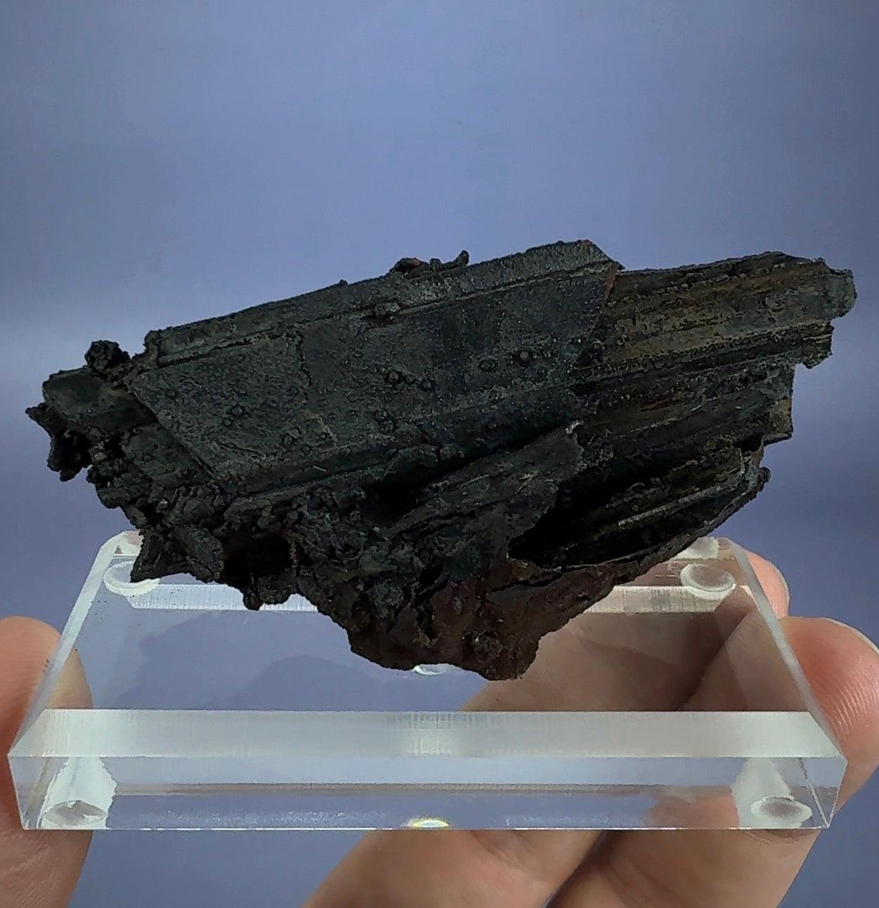 Goethite cast after Selenite (epimorph)