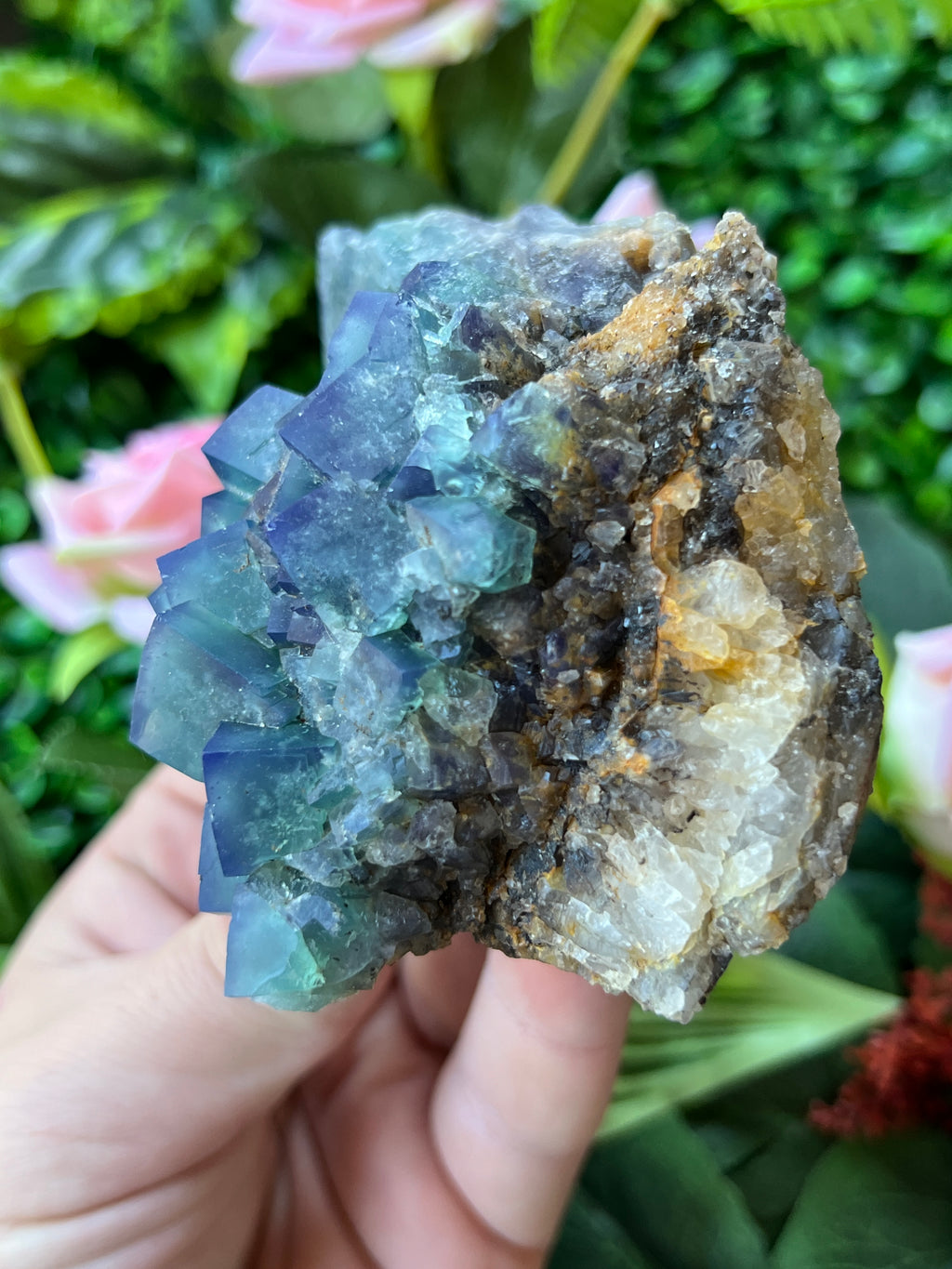 Fluorite (Color Change) - Naughty Gnome Pocket