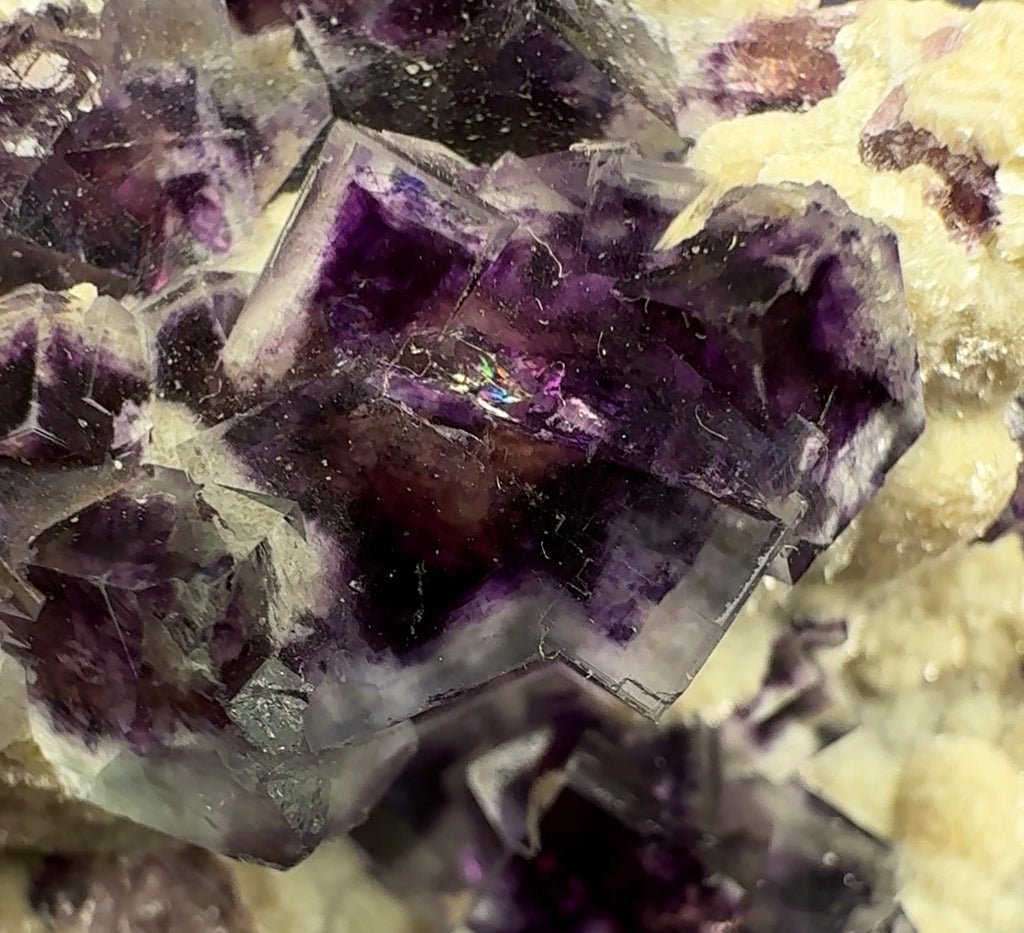 Auction Win: Fluorite with Muscovite (colorful zoning!)