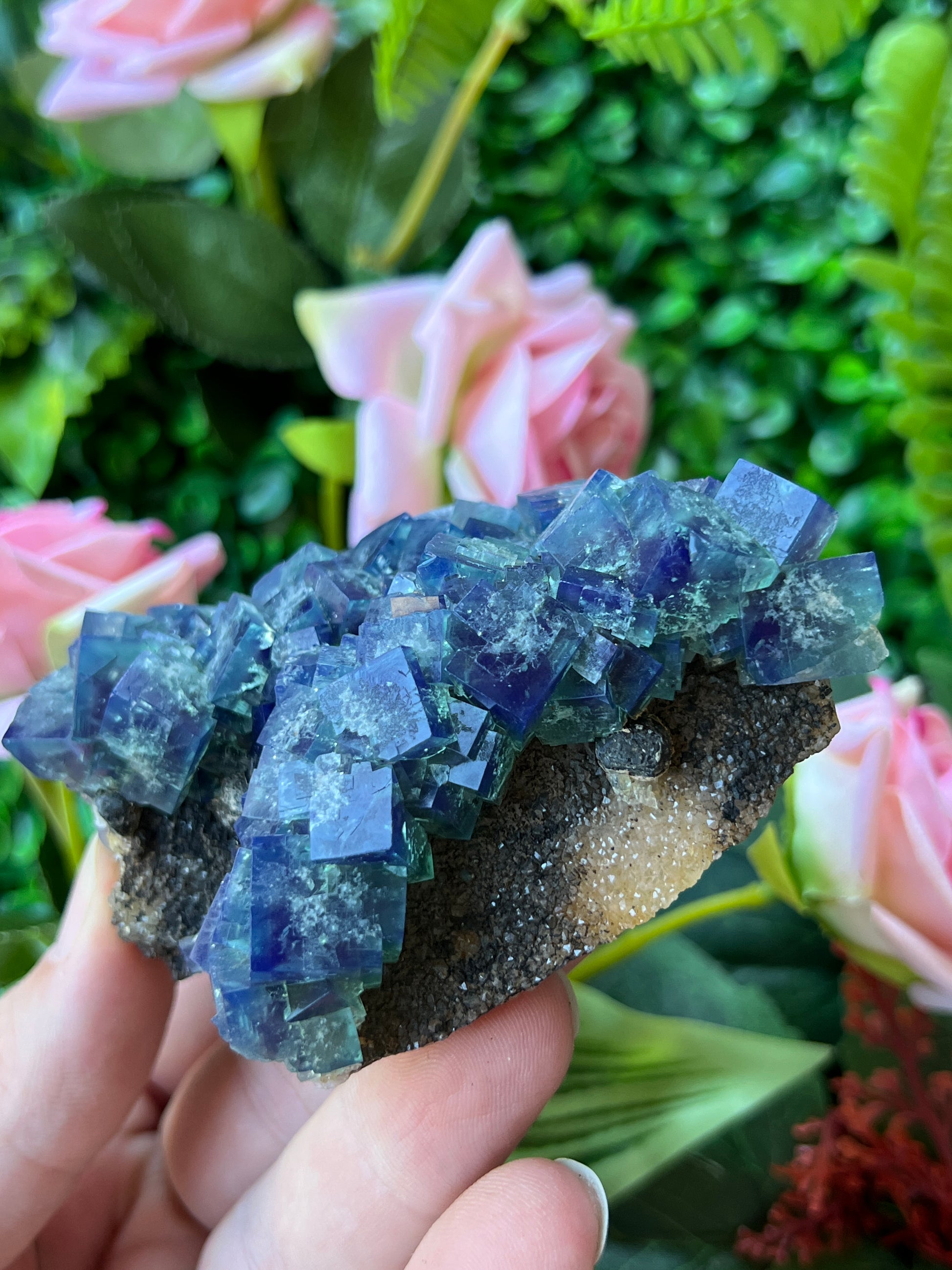 Fluorite (Color Change) - Naughty Gnome Pocket
