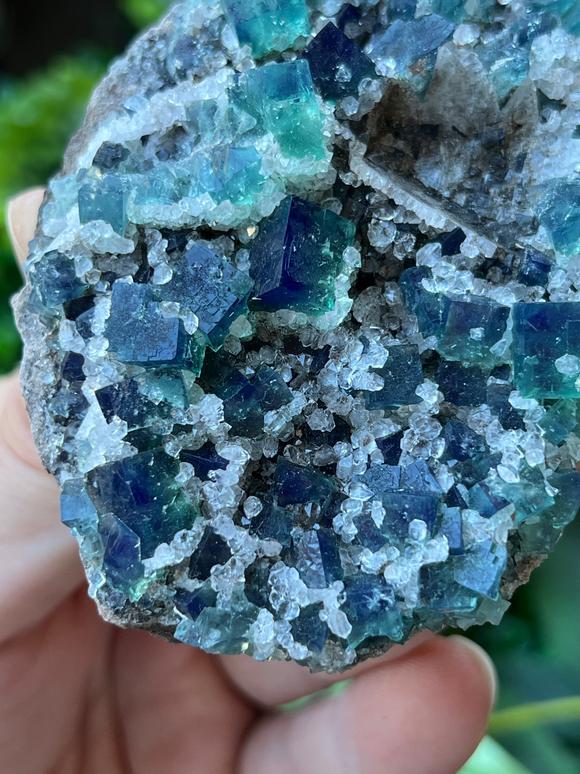 Fluorite (Color Change) w/ Quartz - Druzy Dreams Pocket