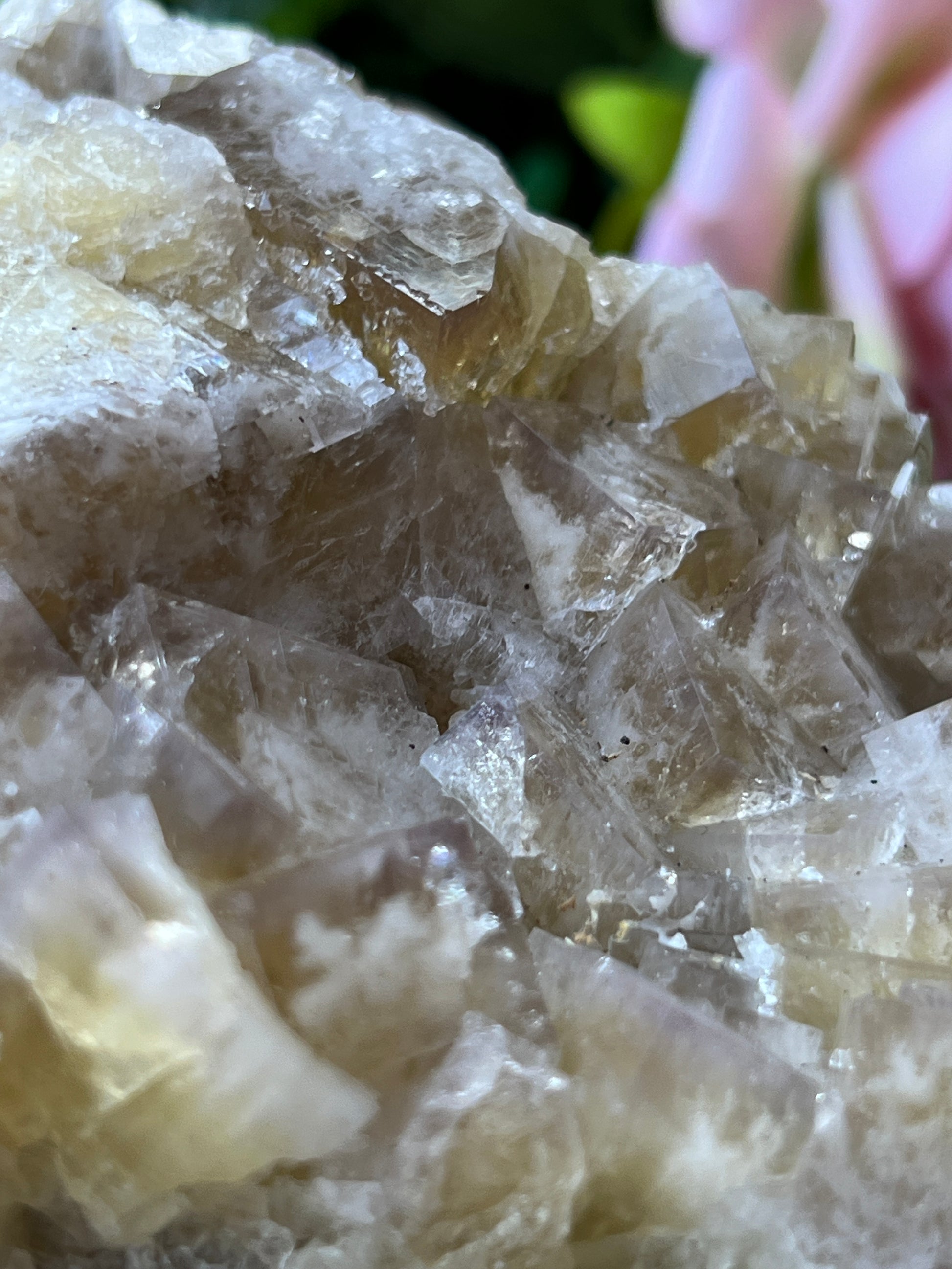 Fluorite (Color Change) - Harvest Pocket