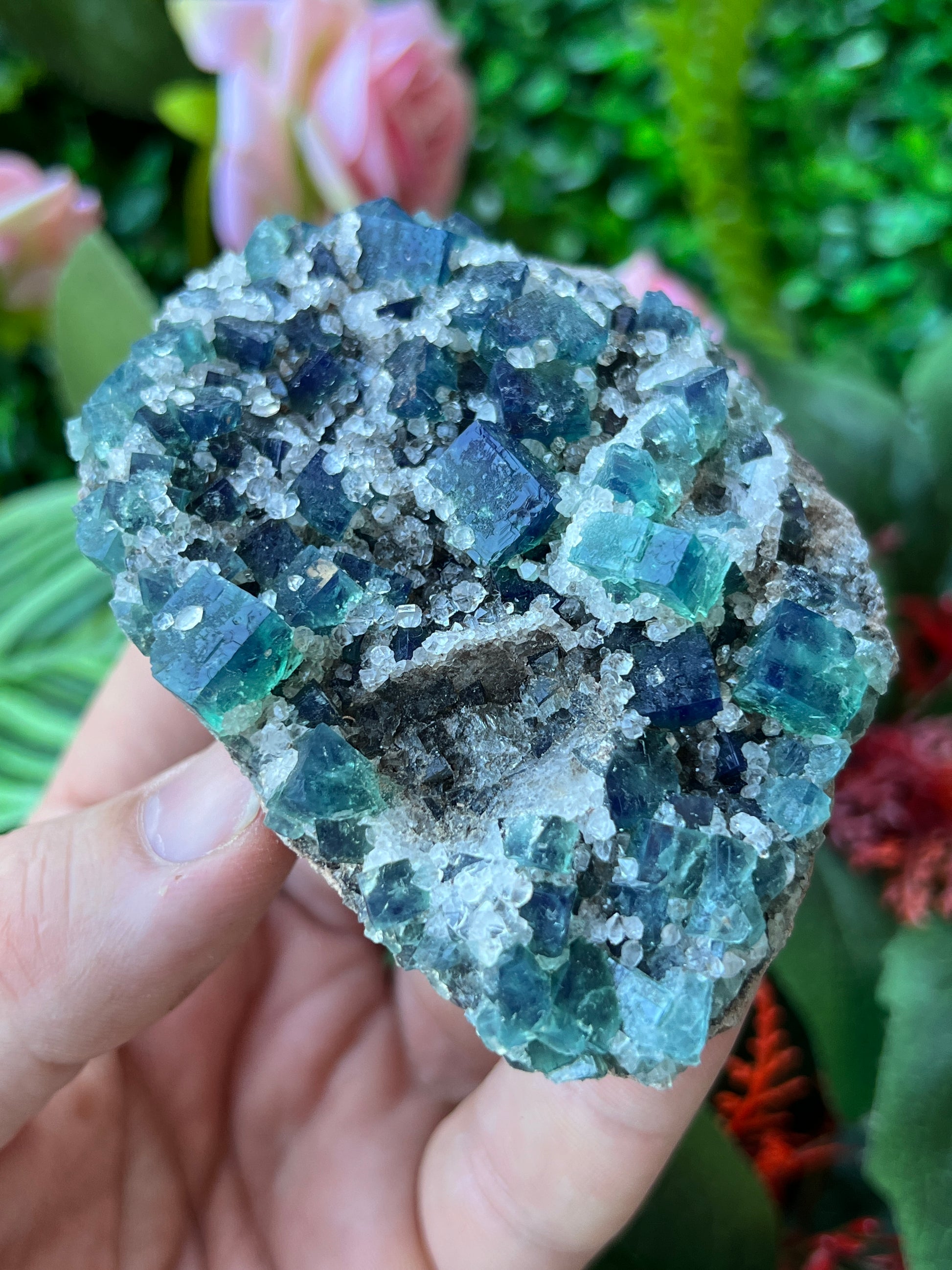 Fluorite (Color Change) w/ Quartz - Druzy Dreams Pocket