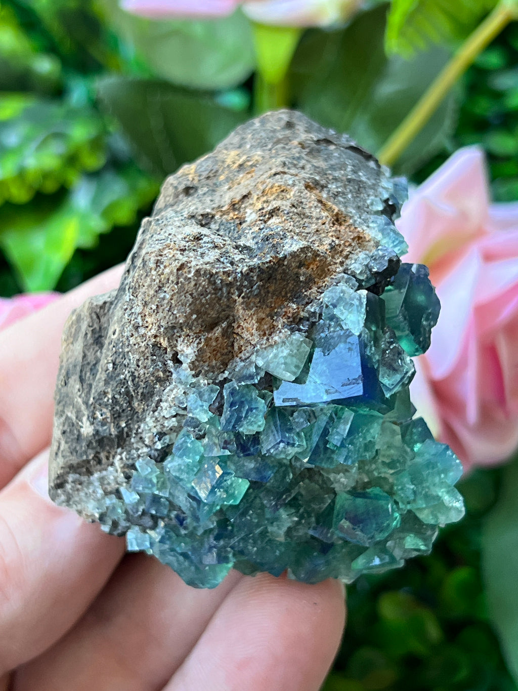 Fluorite (Color Change) w/ Galena