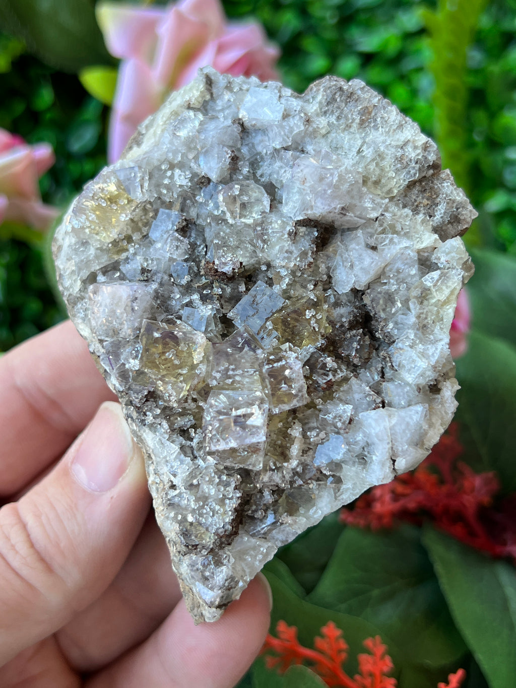 Fluorite - Lemon Meringue Pocket