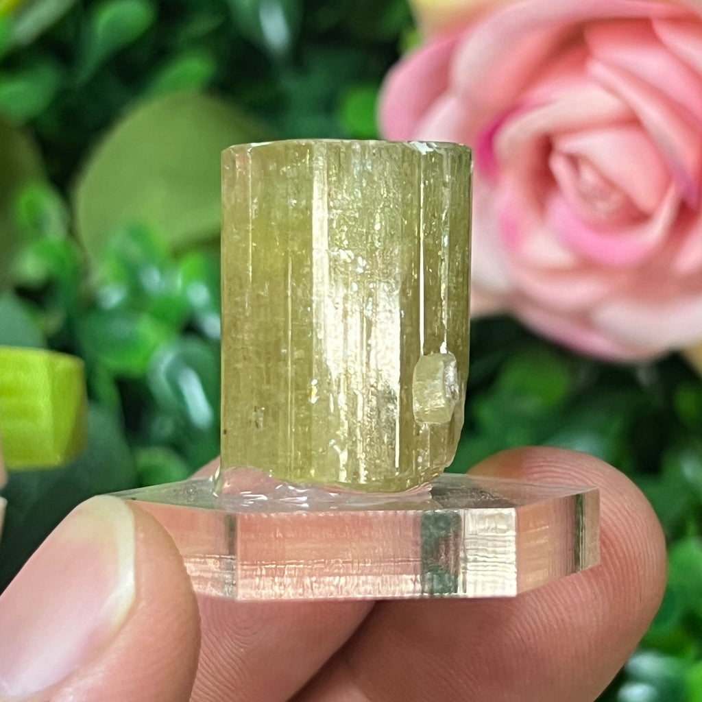 Apatite
