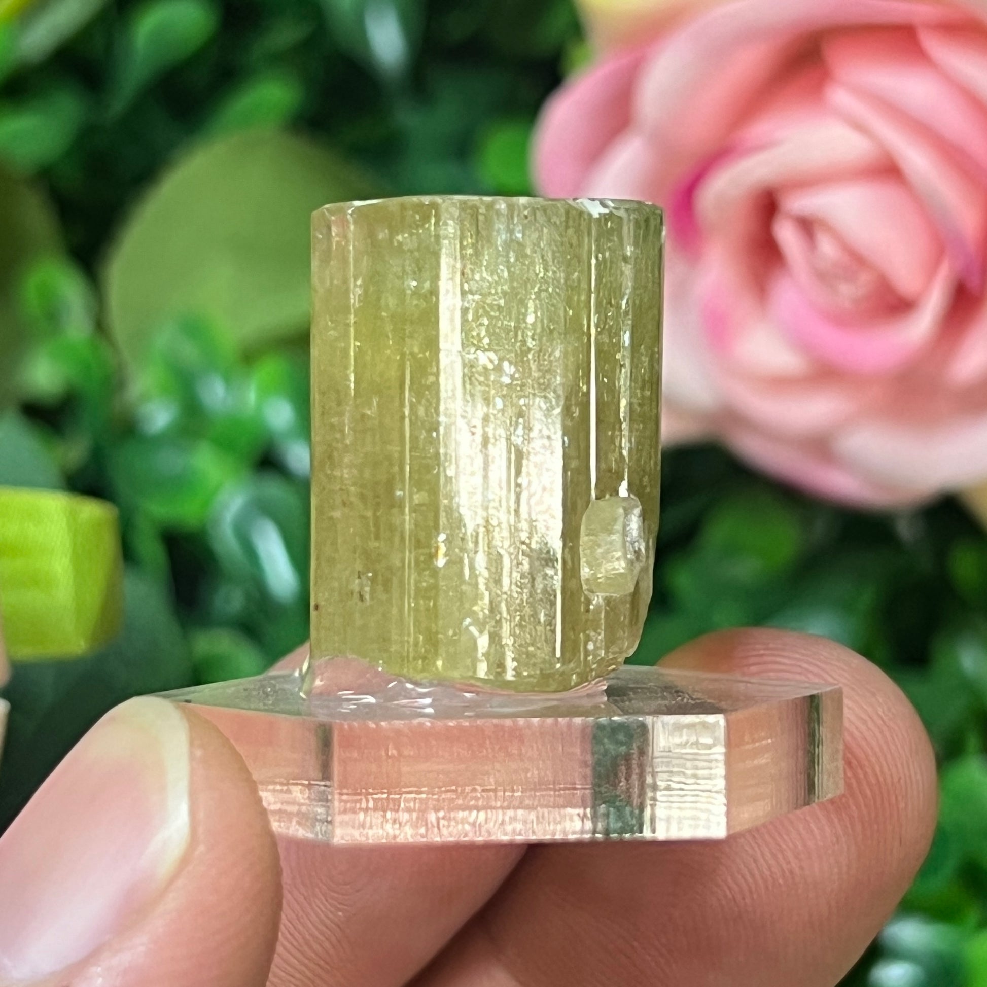 Apatite
