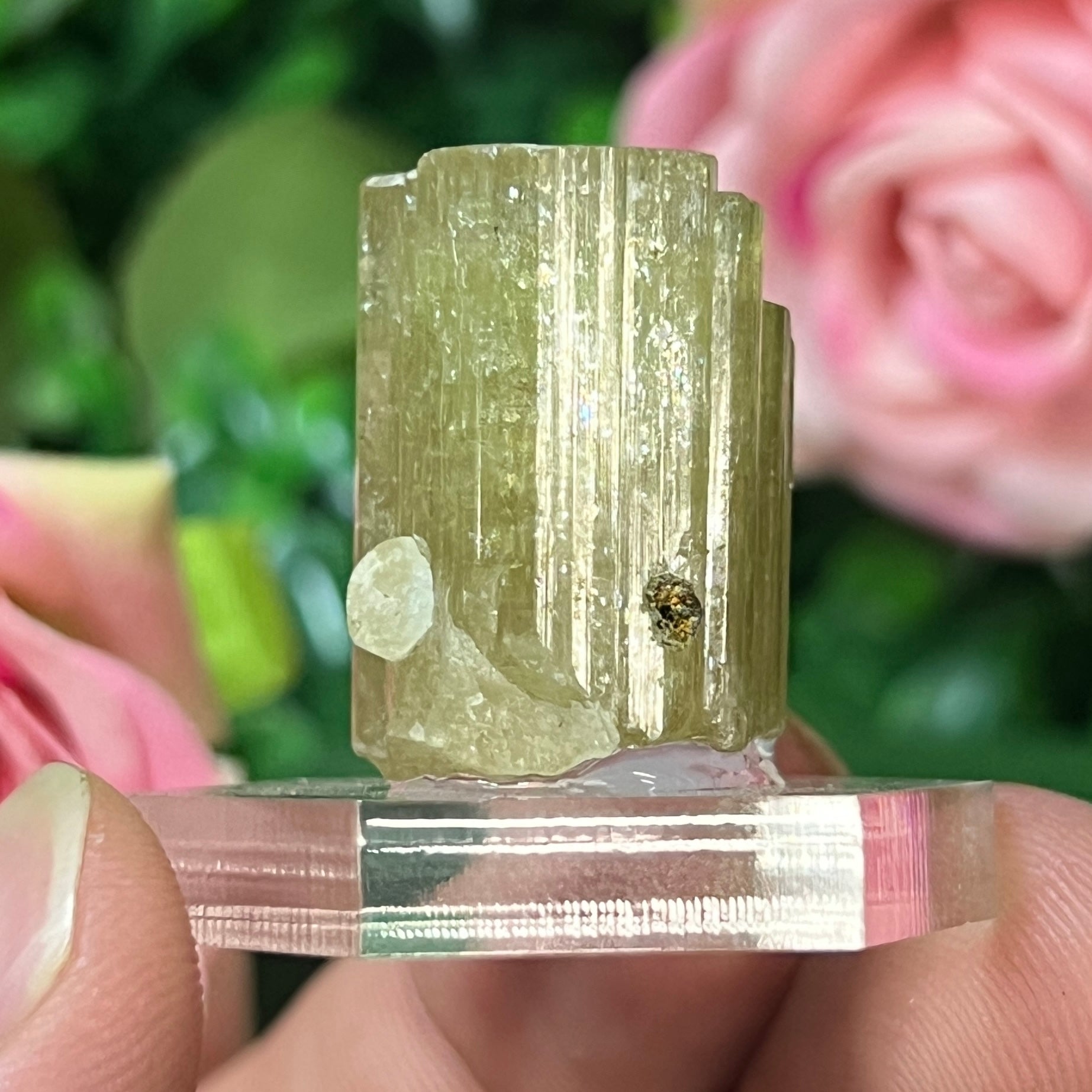 Apatite