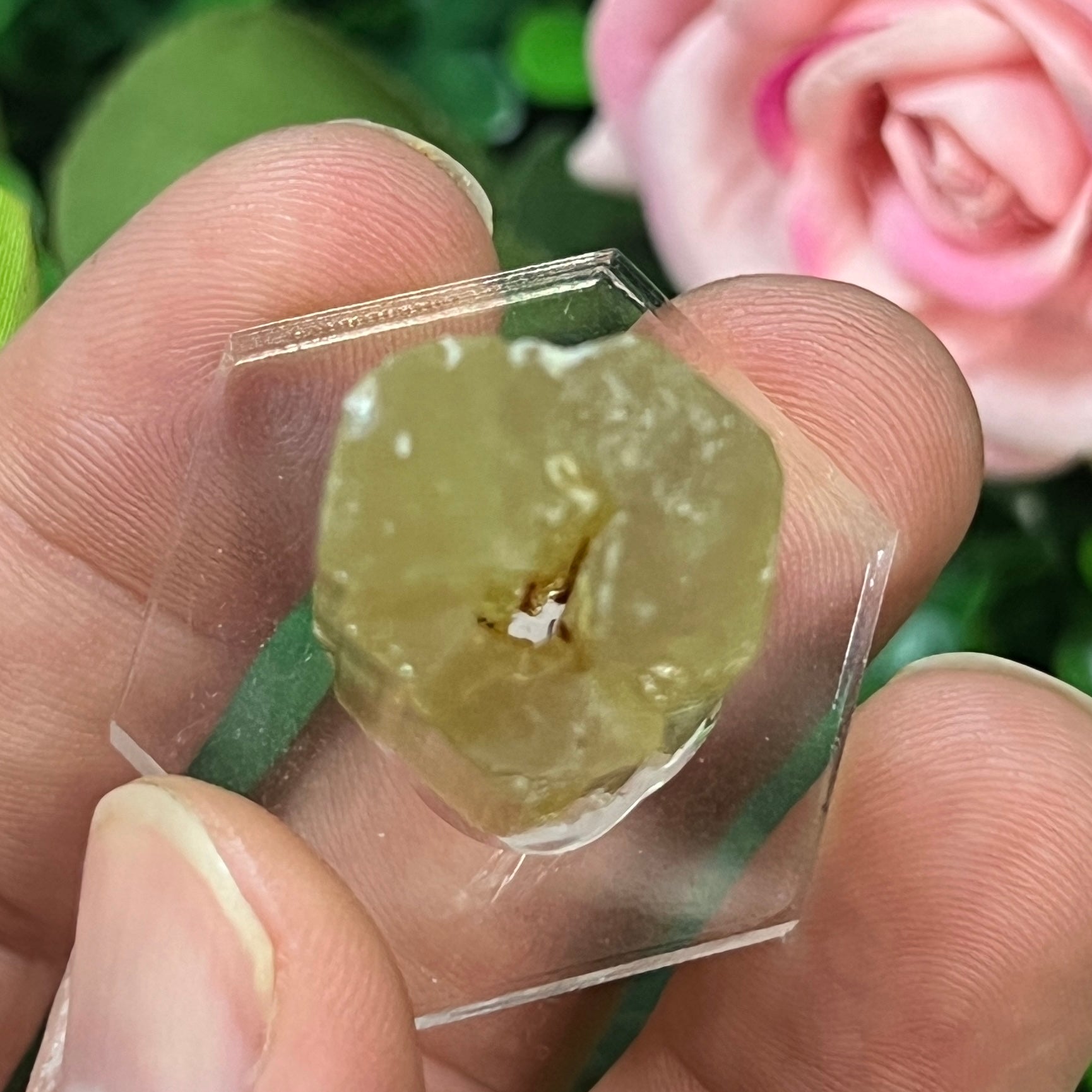Apatite
