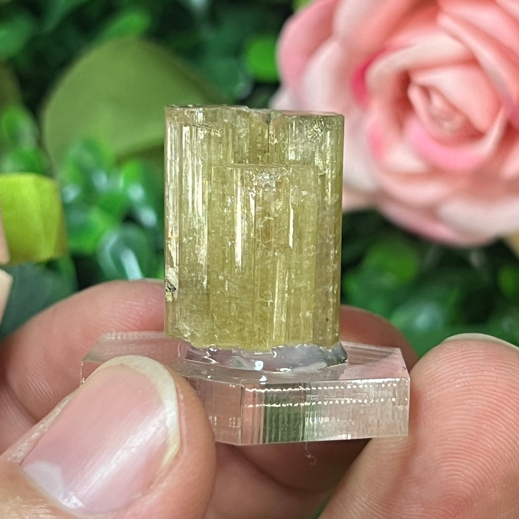 Apatite