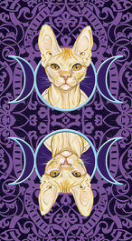 Tarot of Pagan Cats