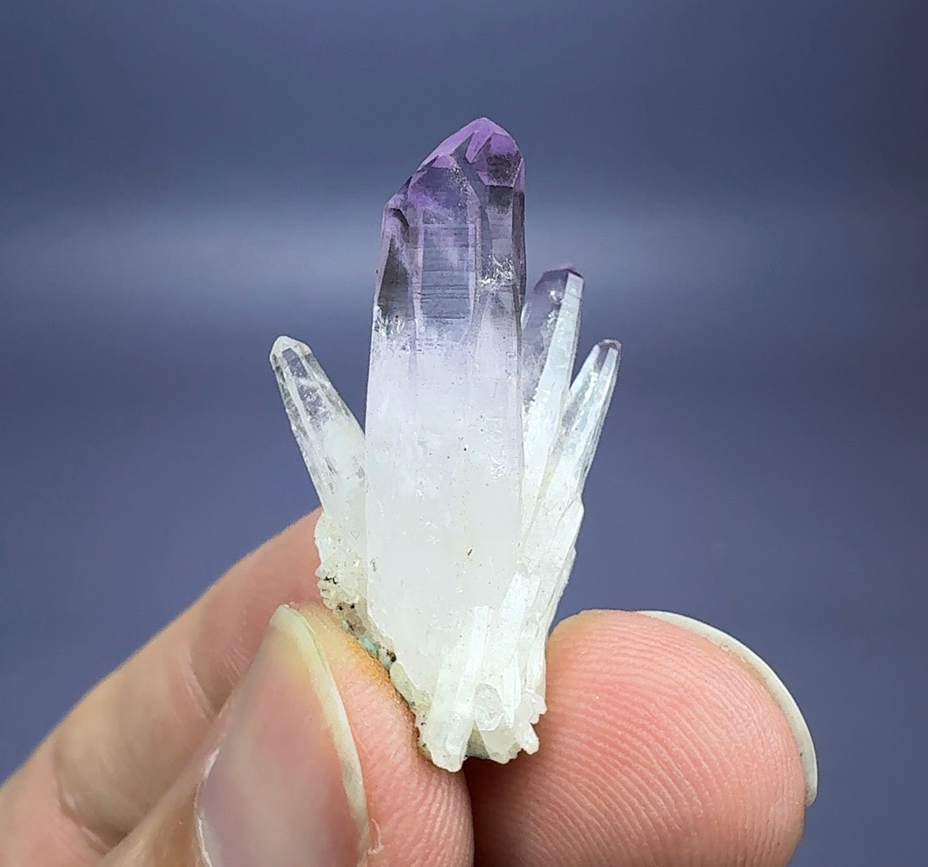 Auction Win: ‘Veracruz’ Amethyst (aesthetic spray)