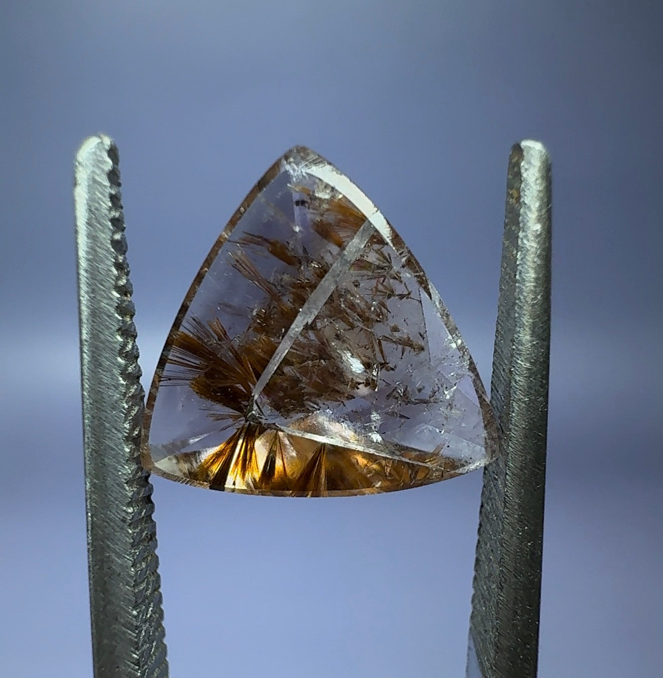 Goethite in Amethyst (with phantom) 3.00ct