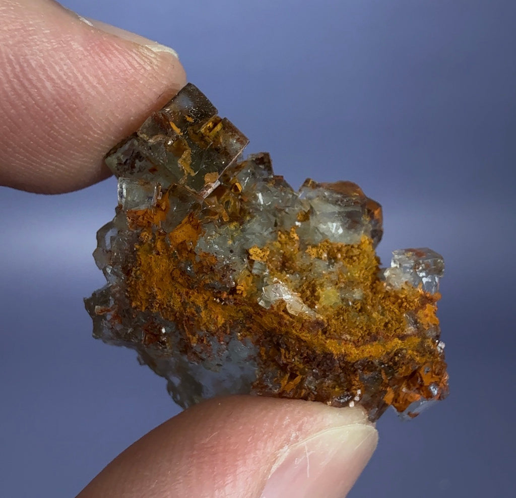 Auction Win: Fluorite
