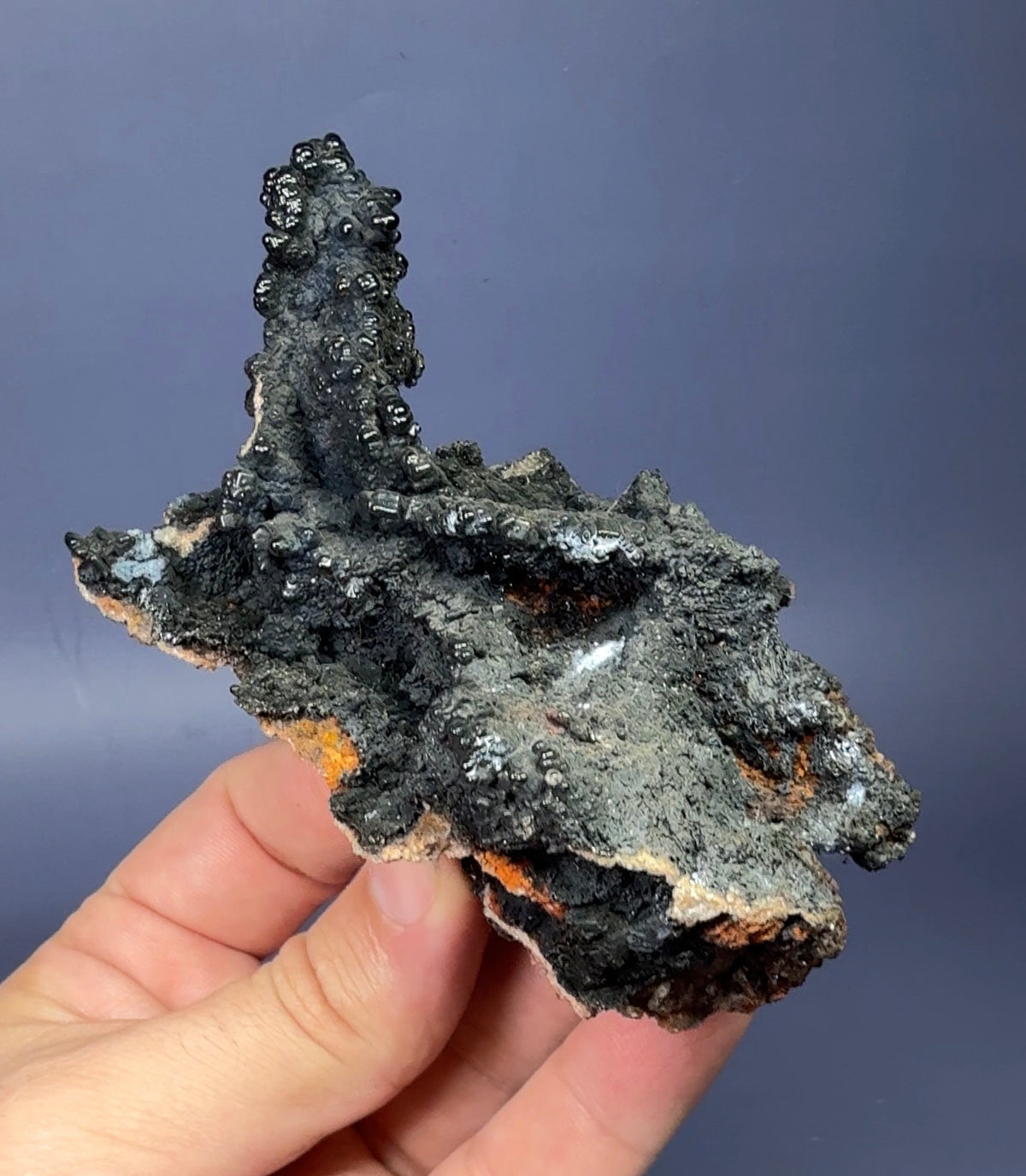 Auction Win: Goethite after Fluorite (stalactite)