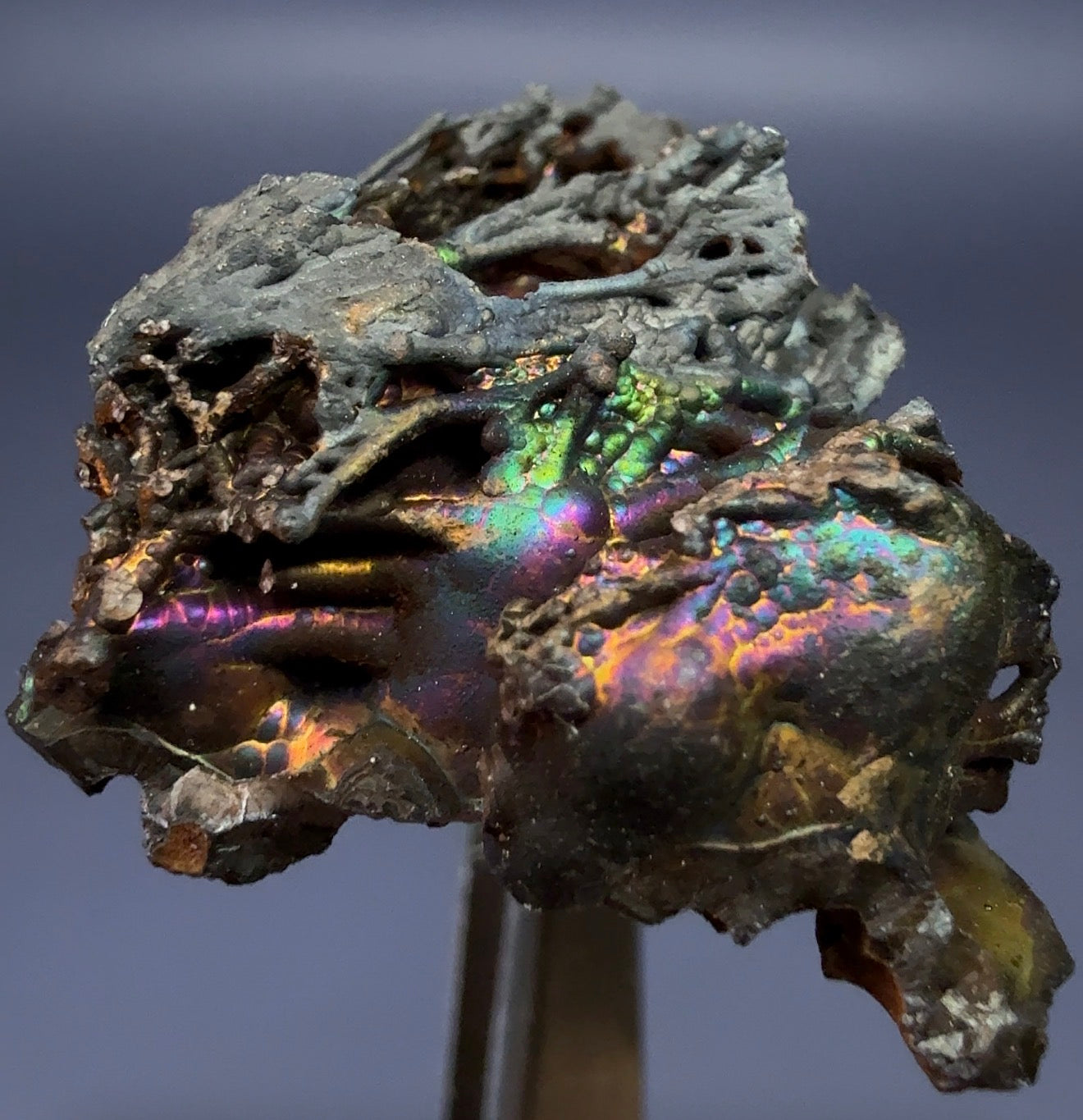 Auction Win: Turgite (Iridescent Goethite)