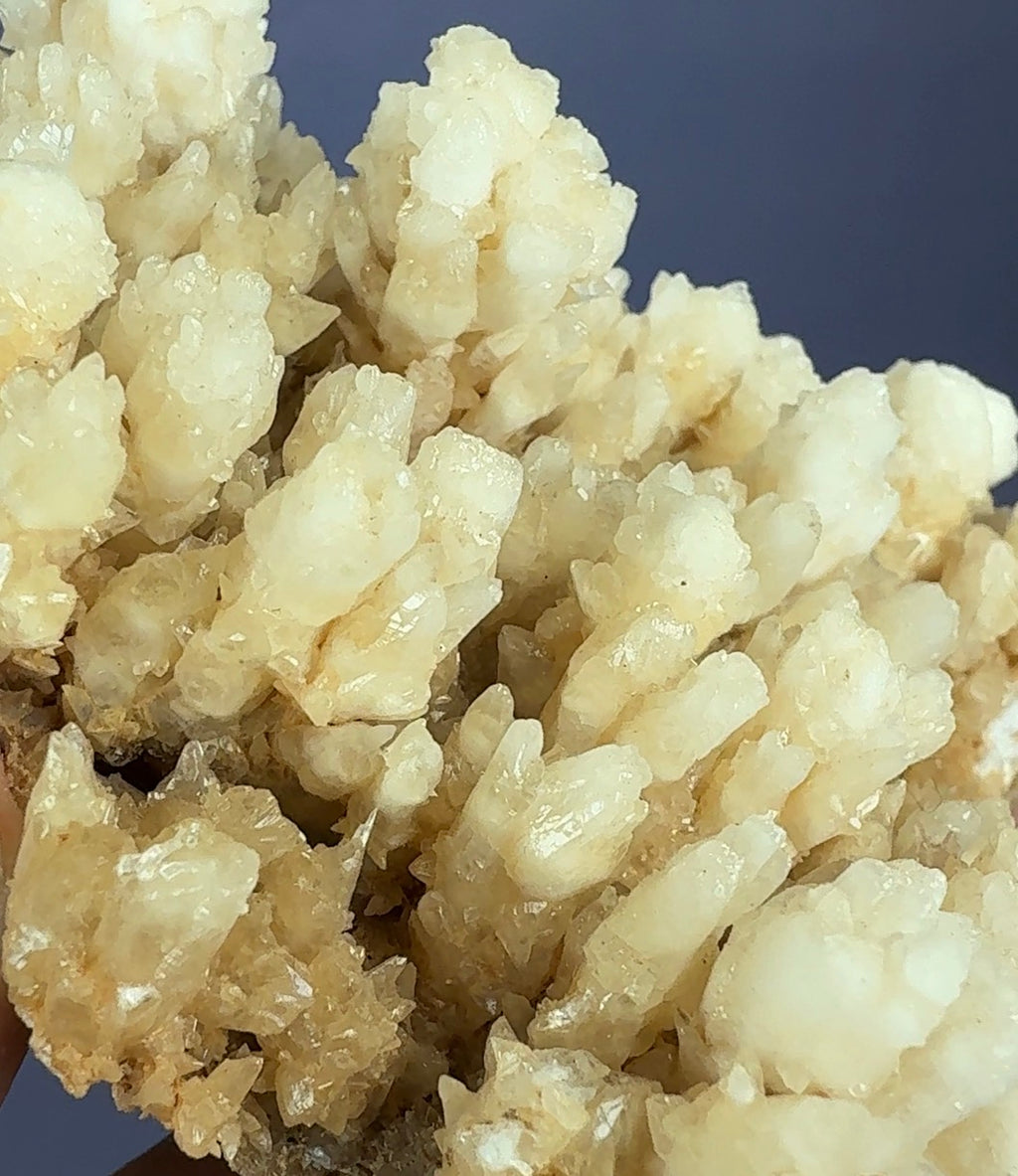 Auction Win: Aragonite