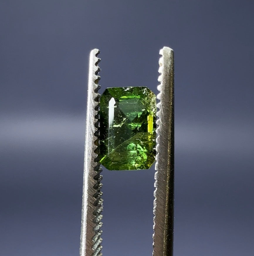 Auction Win: Elbaite Gemstone .82ct