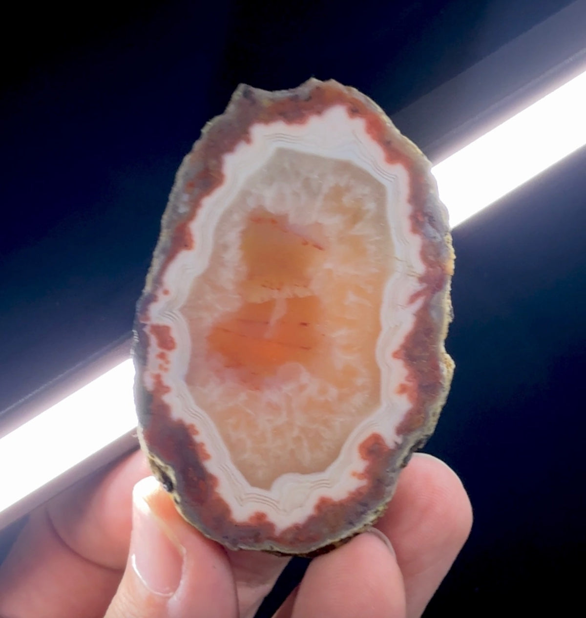 Auction Win: Red Plume Carnelian Agate