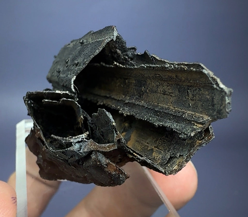 Goethite cast after Selenite (epimorph)