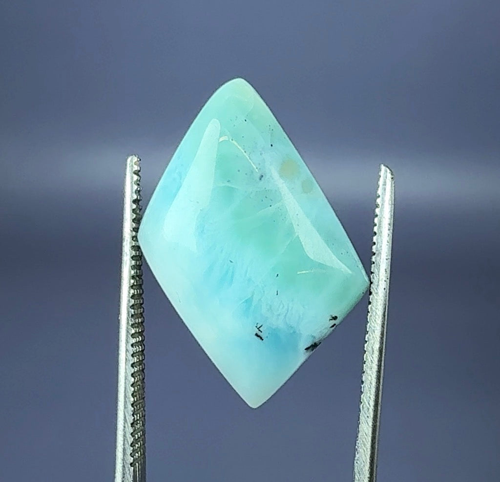 Auction Win: Larimar