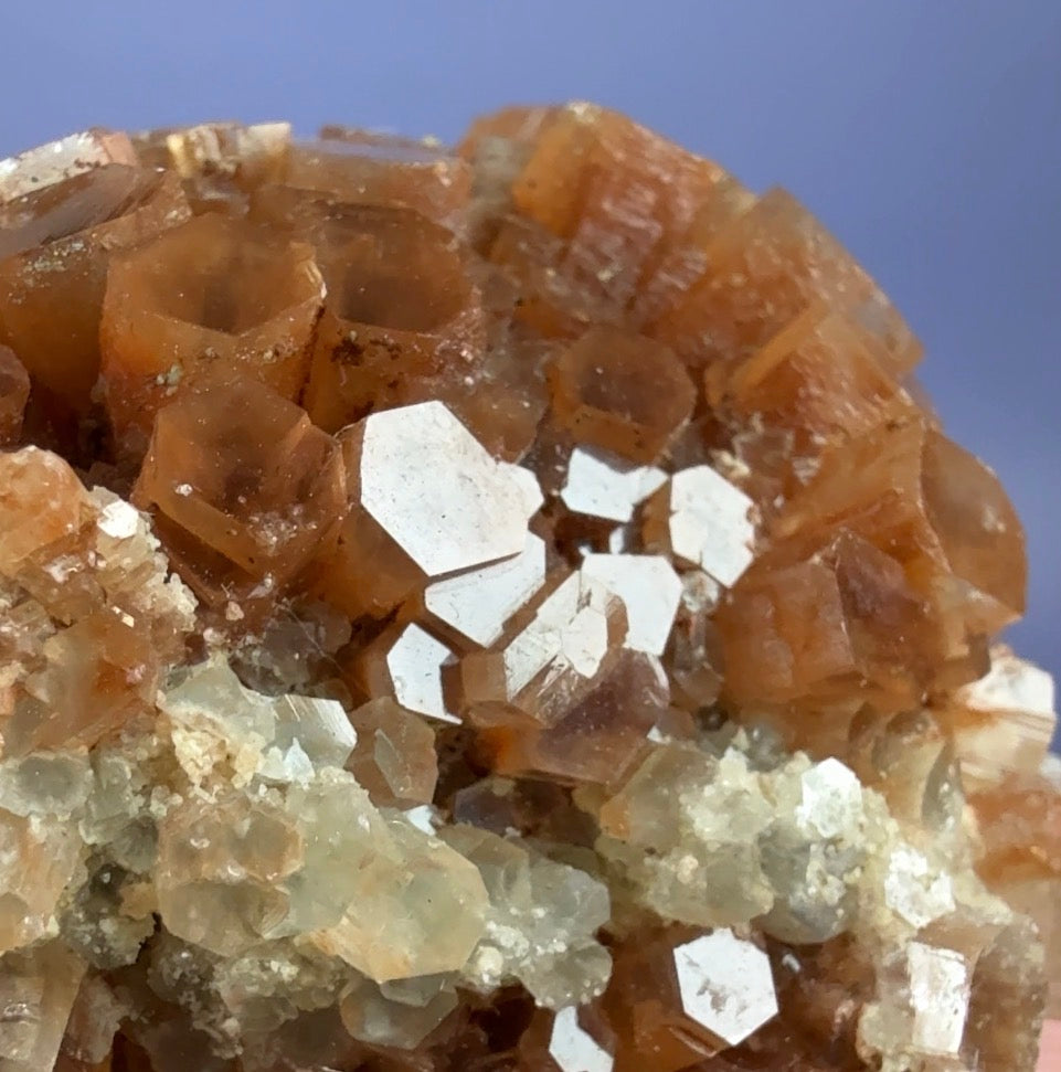 Auction Win: Bi-color ‘Star’ Aragonite