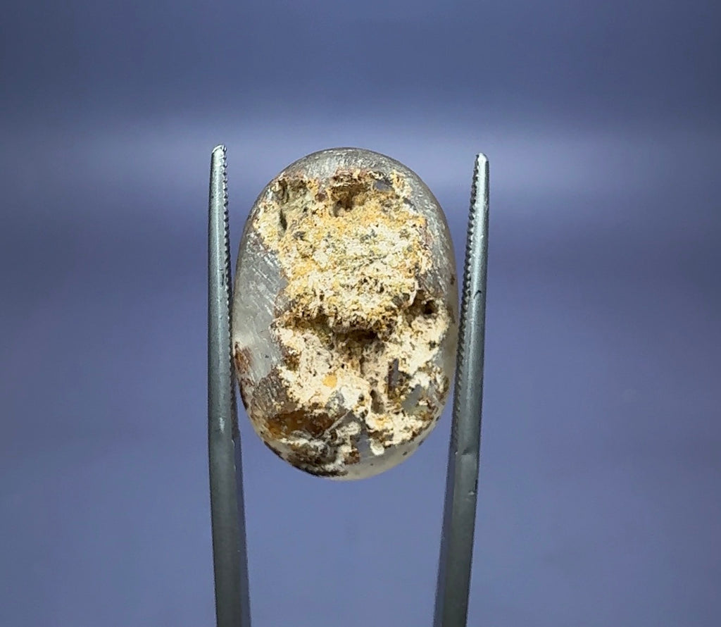 Auction Win: ‘Lodolite’ Quartz with Chlorite and Rutile inclusions (polished)