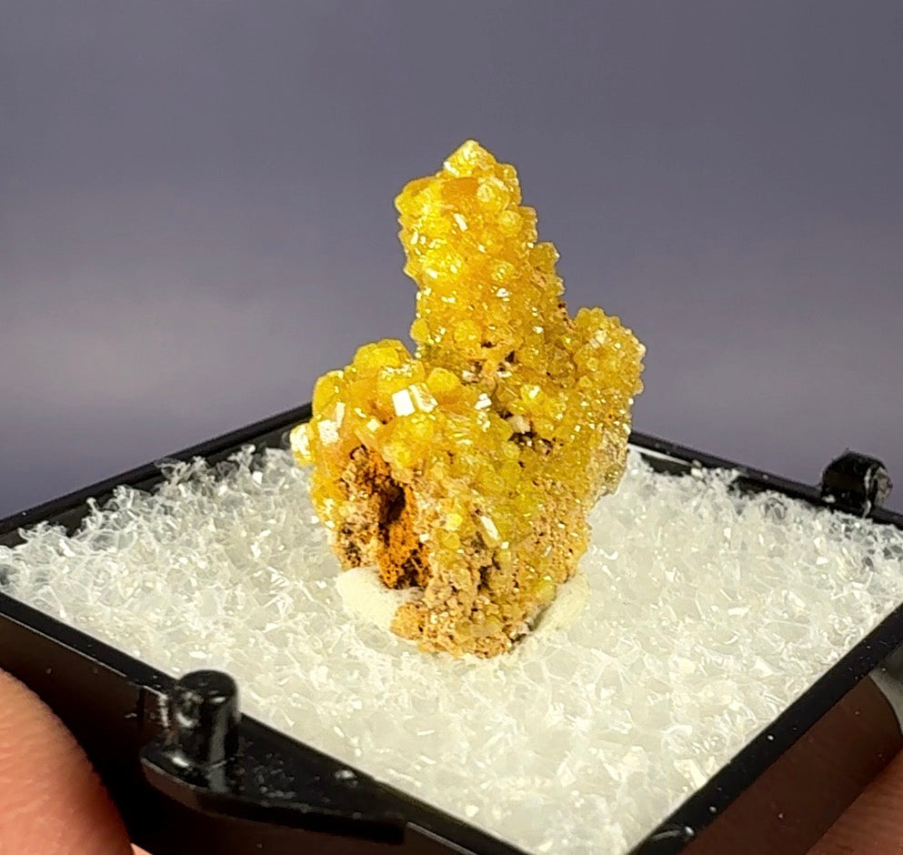 Auction Win: Pyromorphite (old American classic)