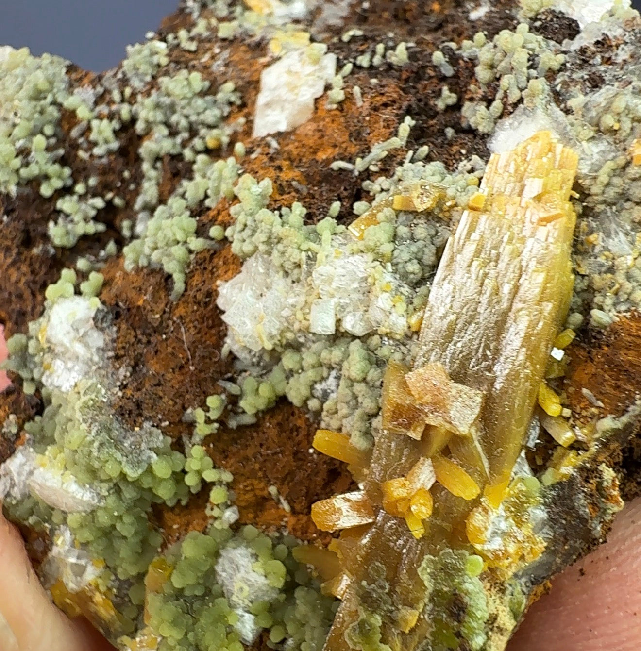 Auction Win: Wulfenite and Mimetite (‘Peas & Carrots’)