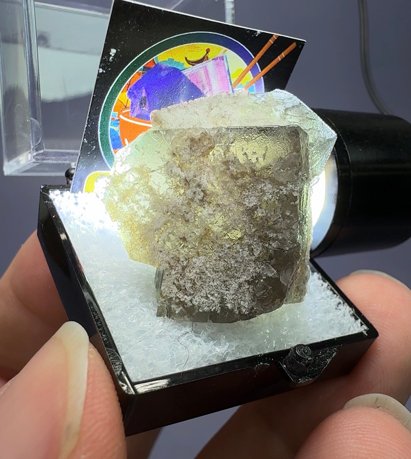 Auction Win: Fluorite