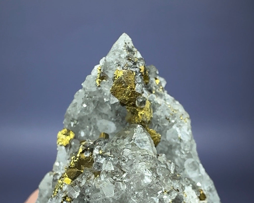Auction Win: Chalcopyrite and Dolomite with Quartz