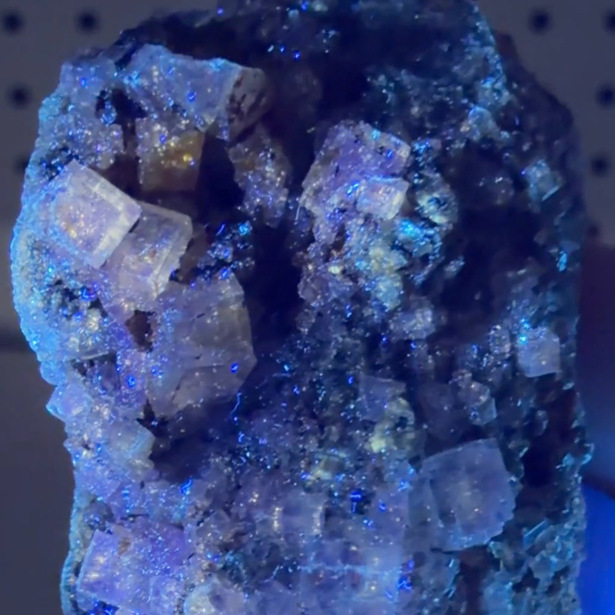 Auction Win: Fluorite (Uncommon Locality)
