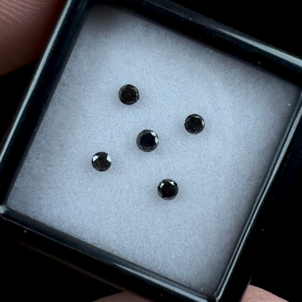 Auction Win: Black Diamonds .21cttw