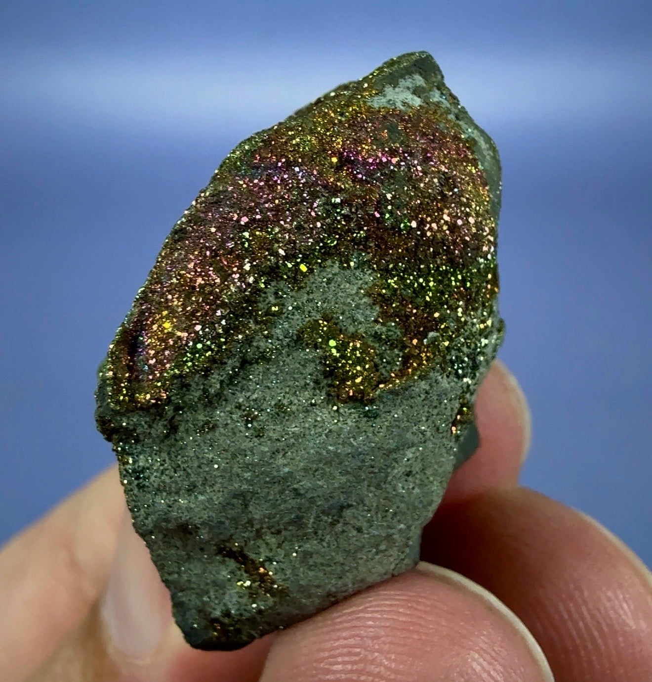 Auction Win: ‘Rainbow’ Pyrite (iridescent)