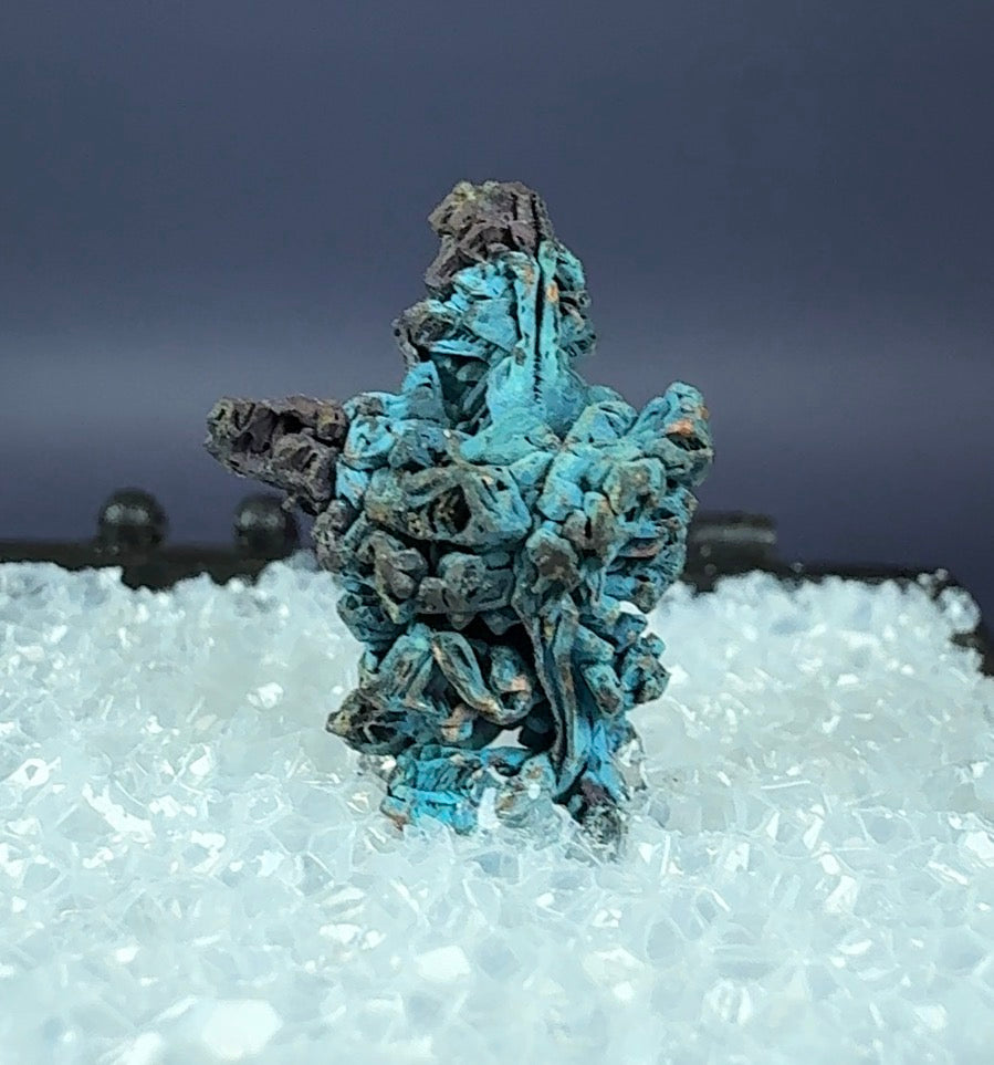 Auction Win: Copper (Spinel Twin)