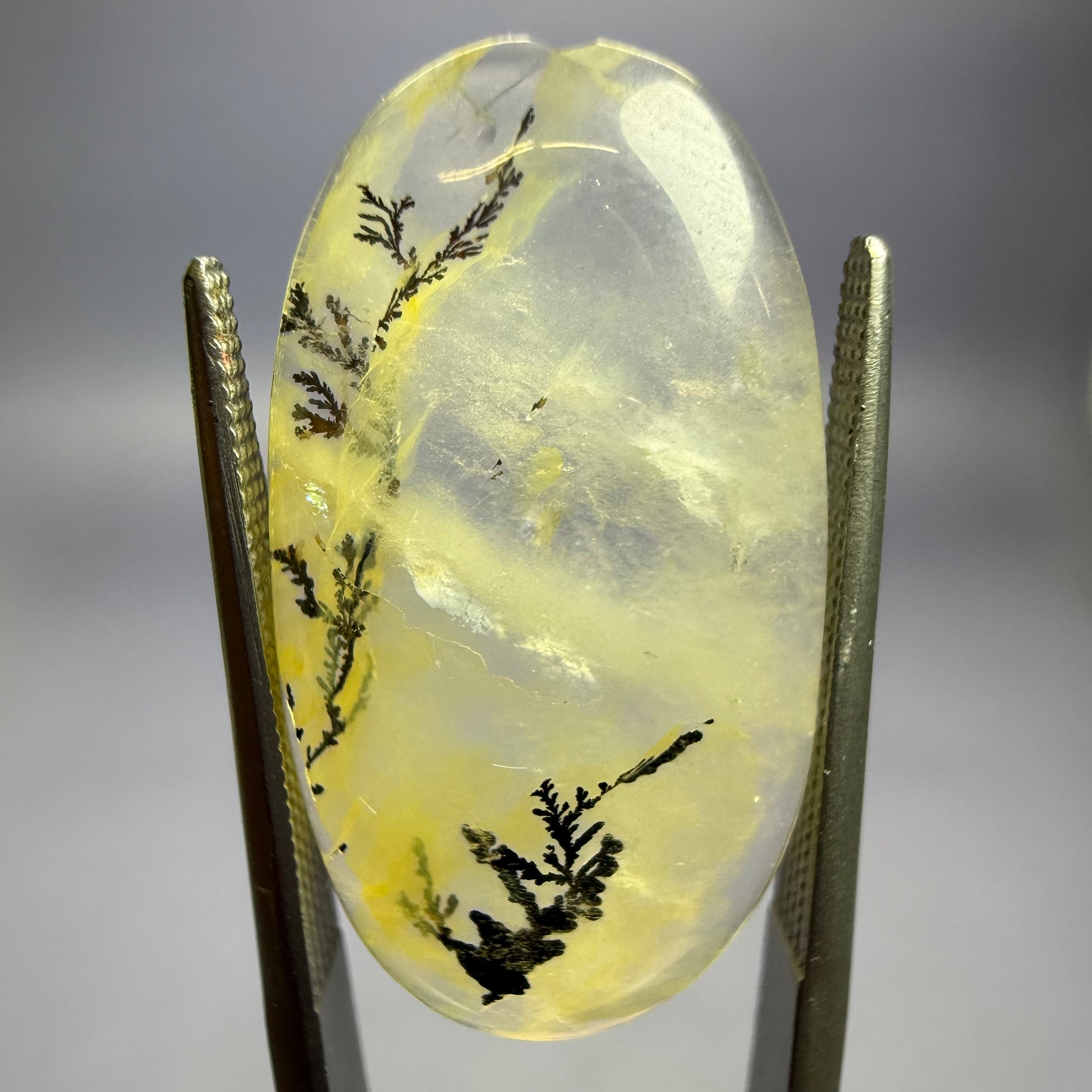 Auction Win: Dendritic Iron Quartz