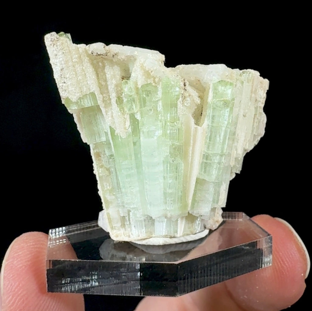 Auction Win: Elbaite with Muscovite
