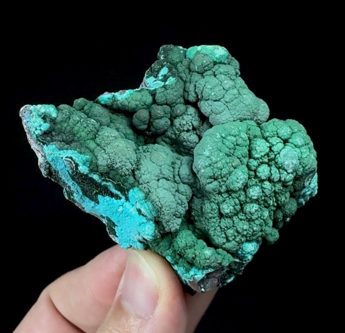 Auction Win: Malachite on Chrysocolla