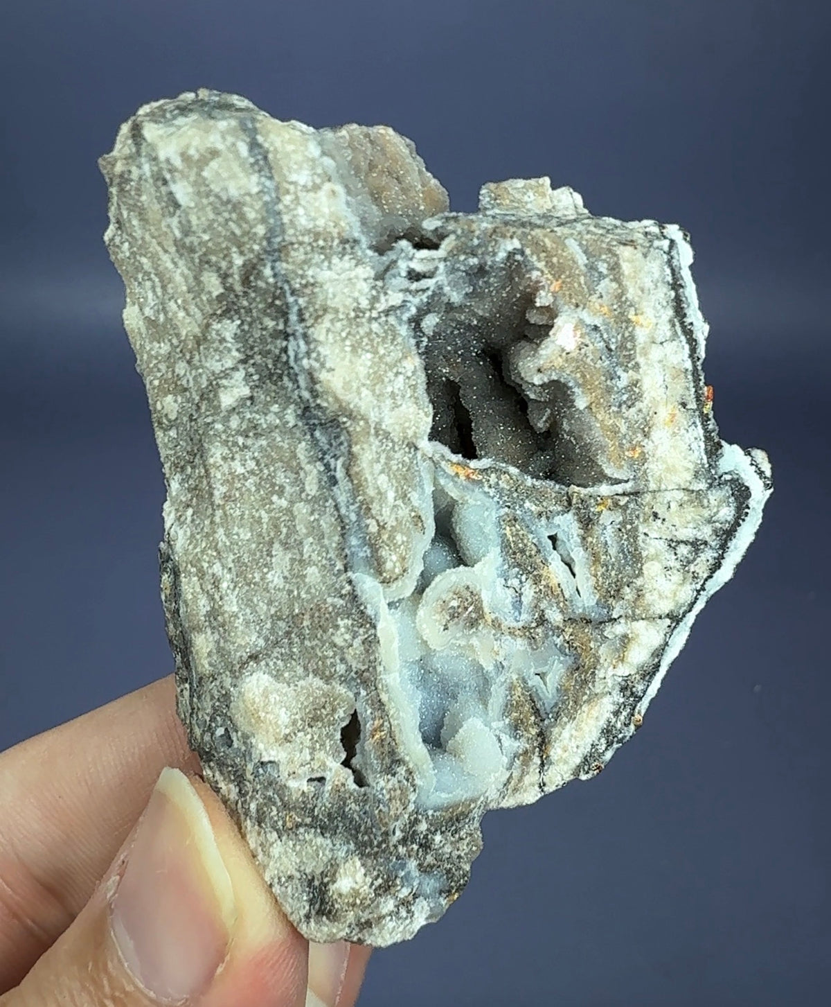 Auction Win: Quartz after Wulfenite
