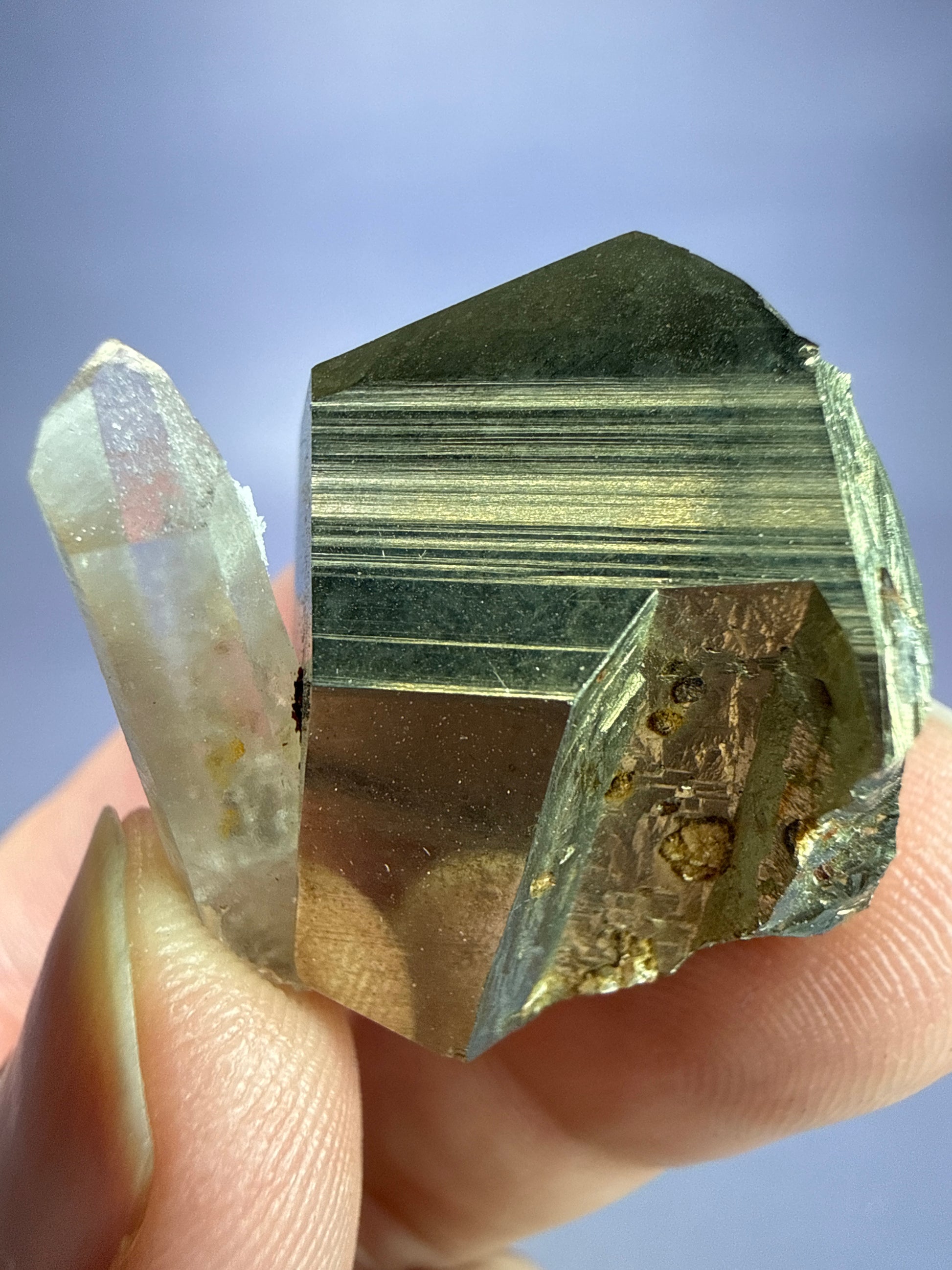 Auction Win: Pyrite with Quartz