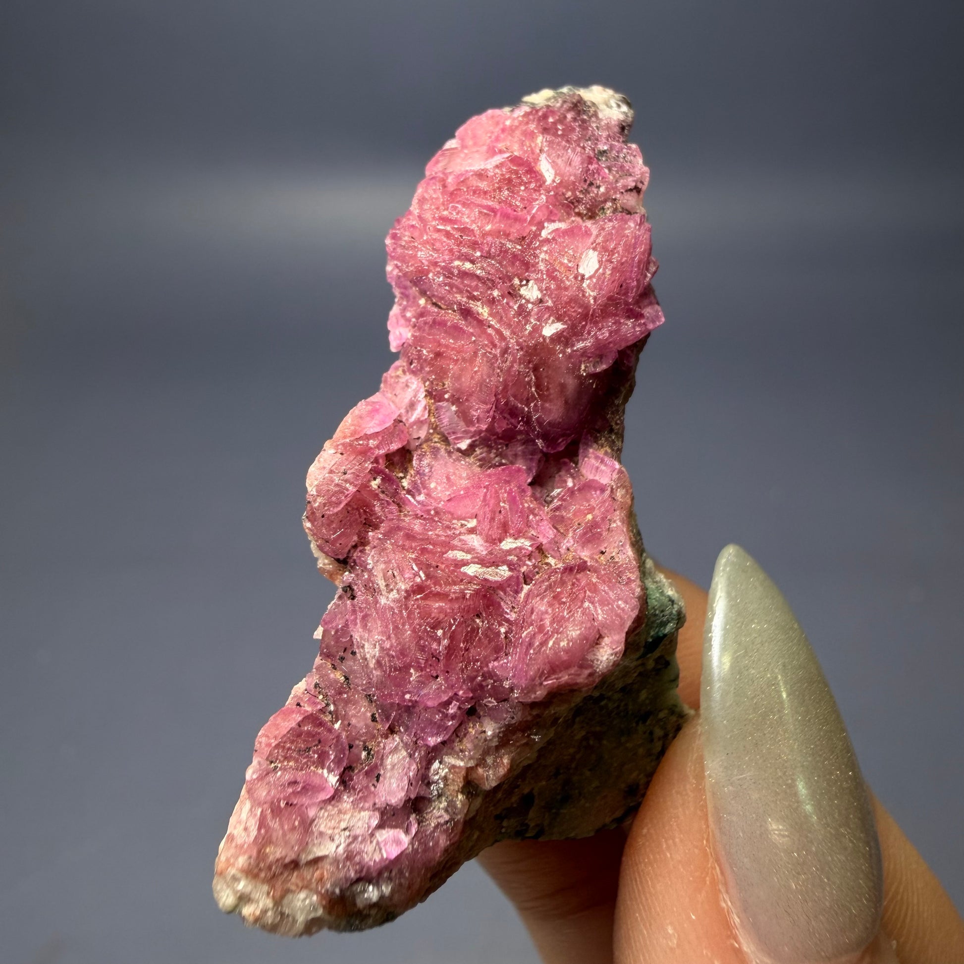 Auction Win: Cobaltoan Calcite
