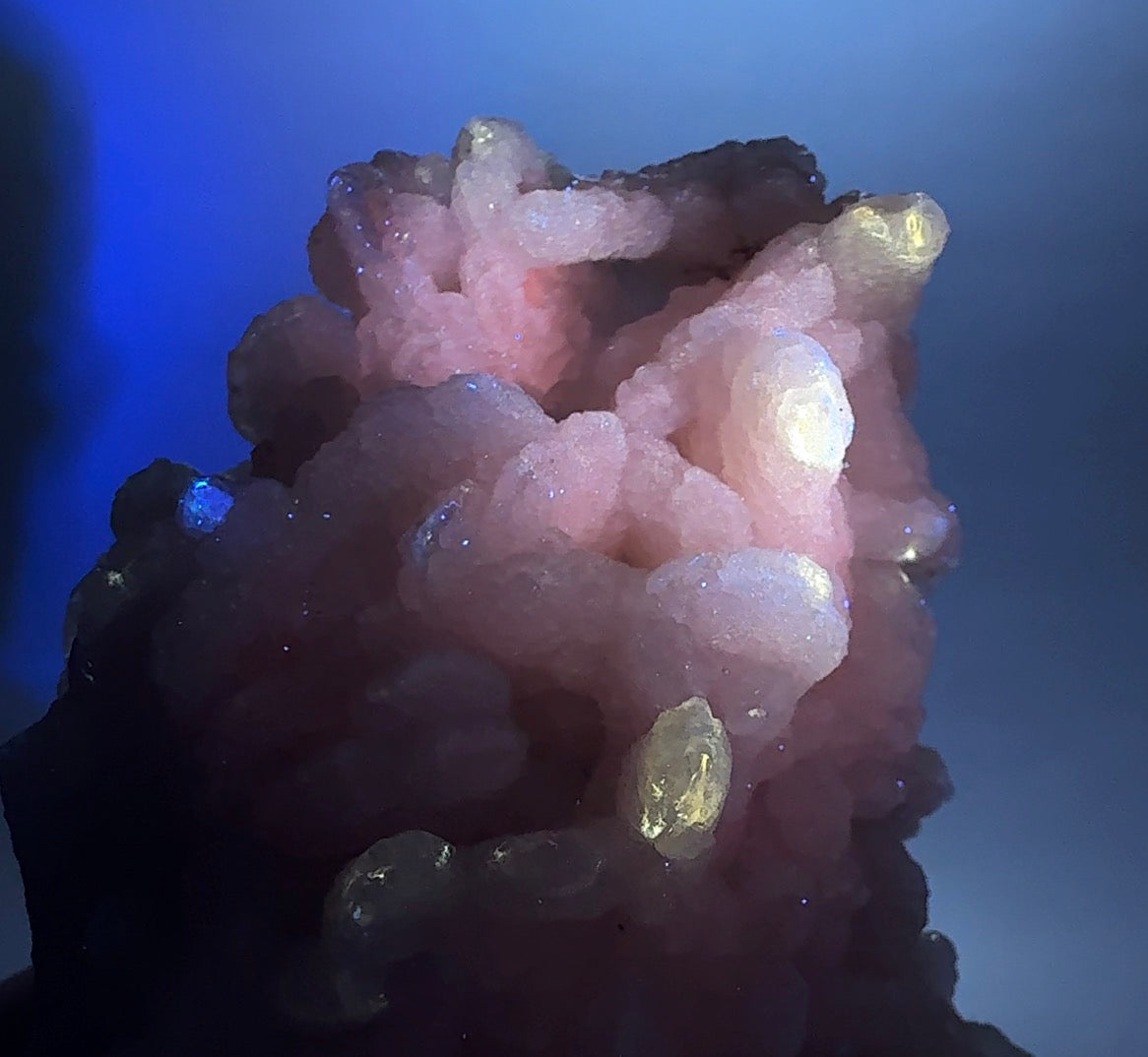 Auction Win: Calcite on Calcite (two habits & fluorescent!)