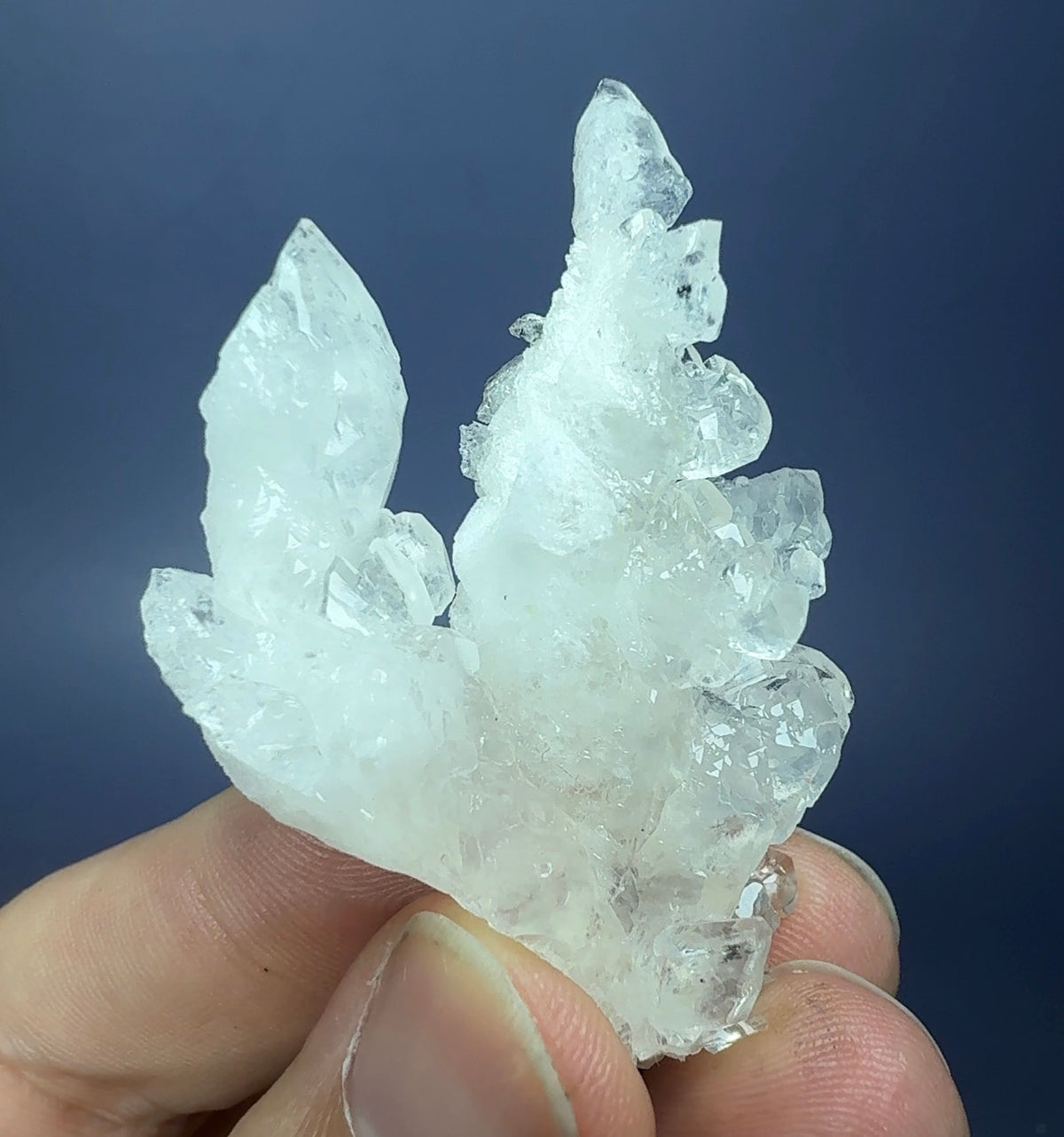 Auction Win: ‘Cave’ Calcite (high luster & clarity)